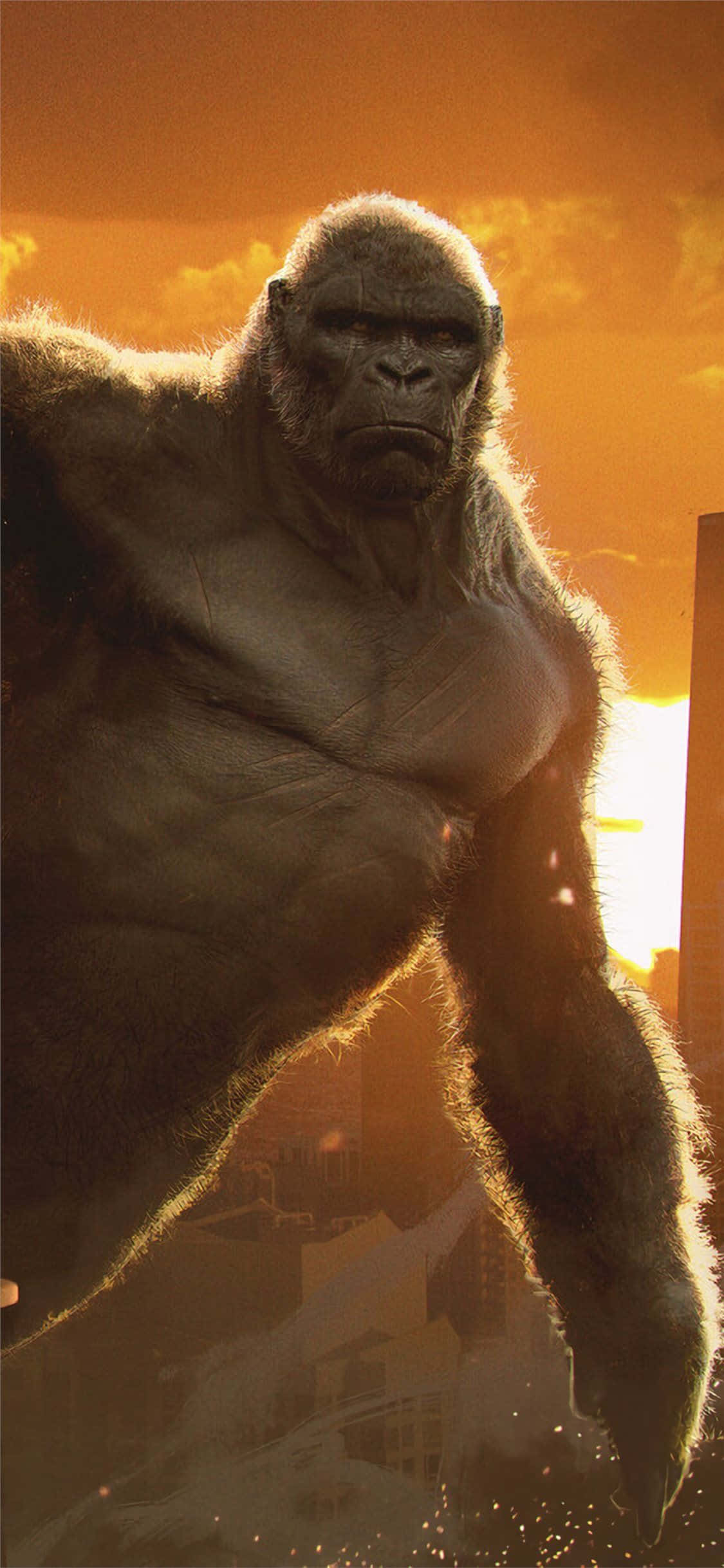 Nền Gorilla iPhone Xs Max Phim King Kong Hình nền