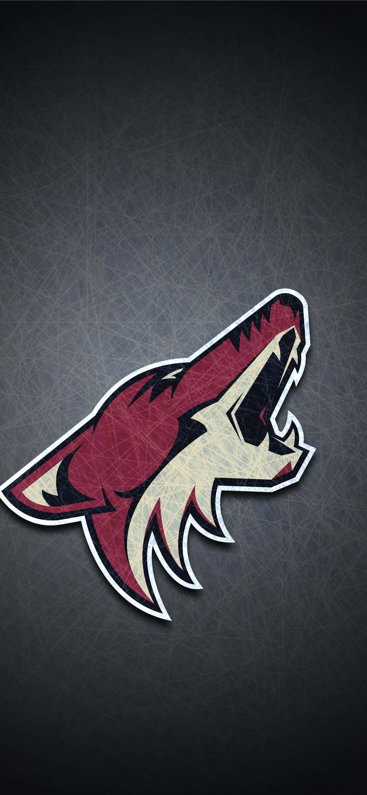 hình nền logo đội tuyển arizona coyotes Hình nền
