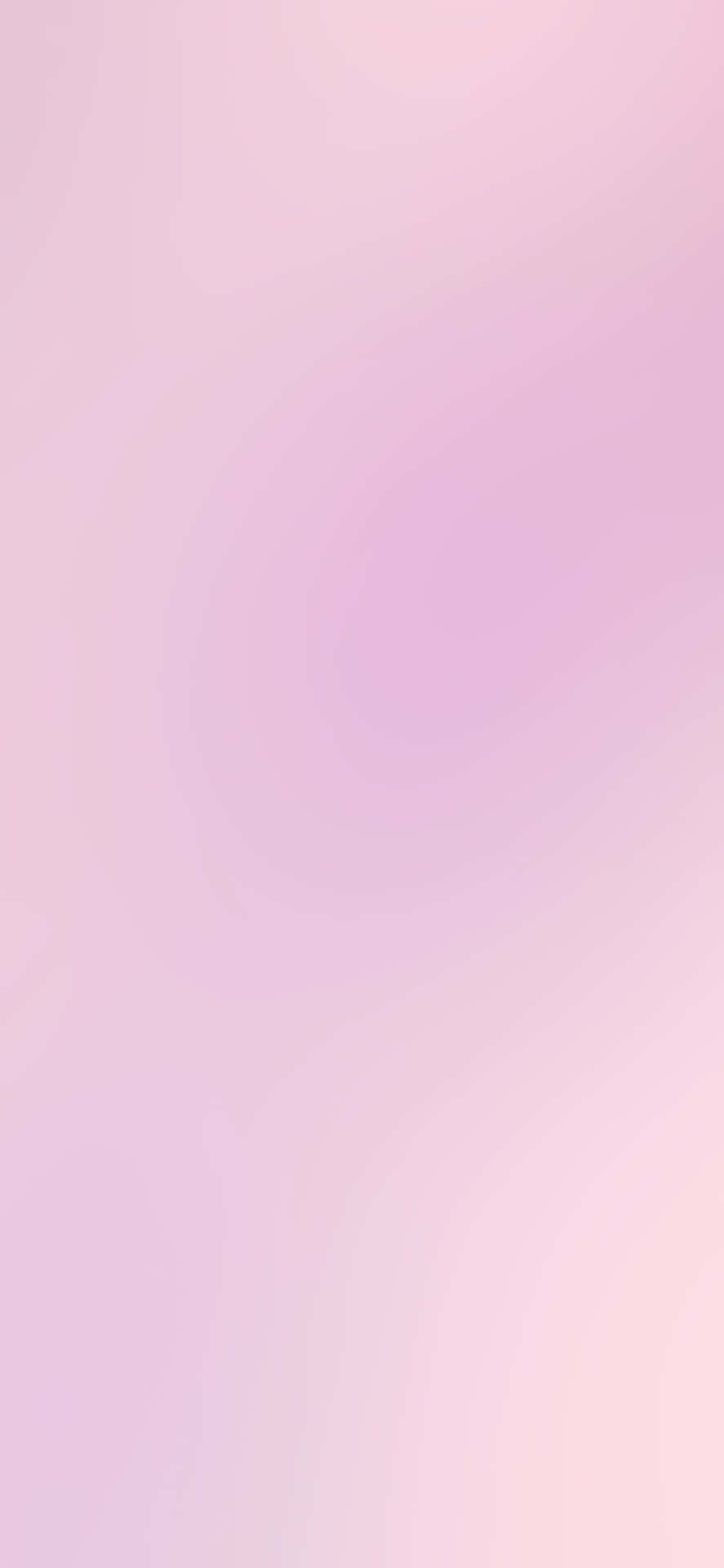 Nền Ombre Hồng Hình nền
