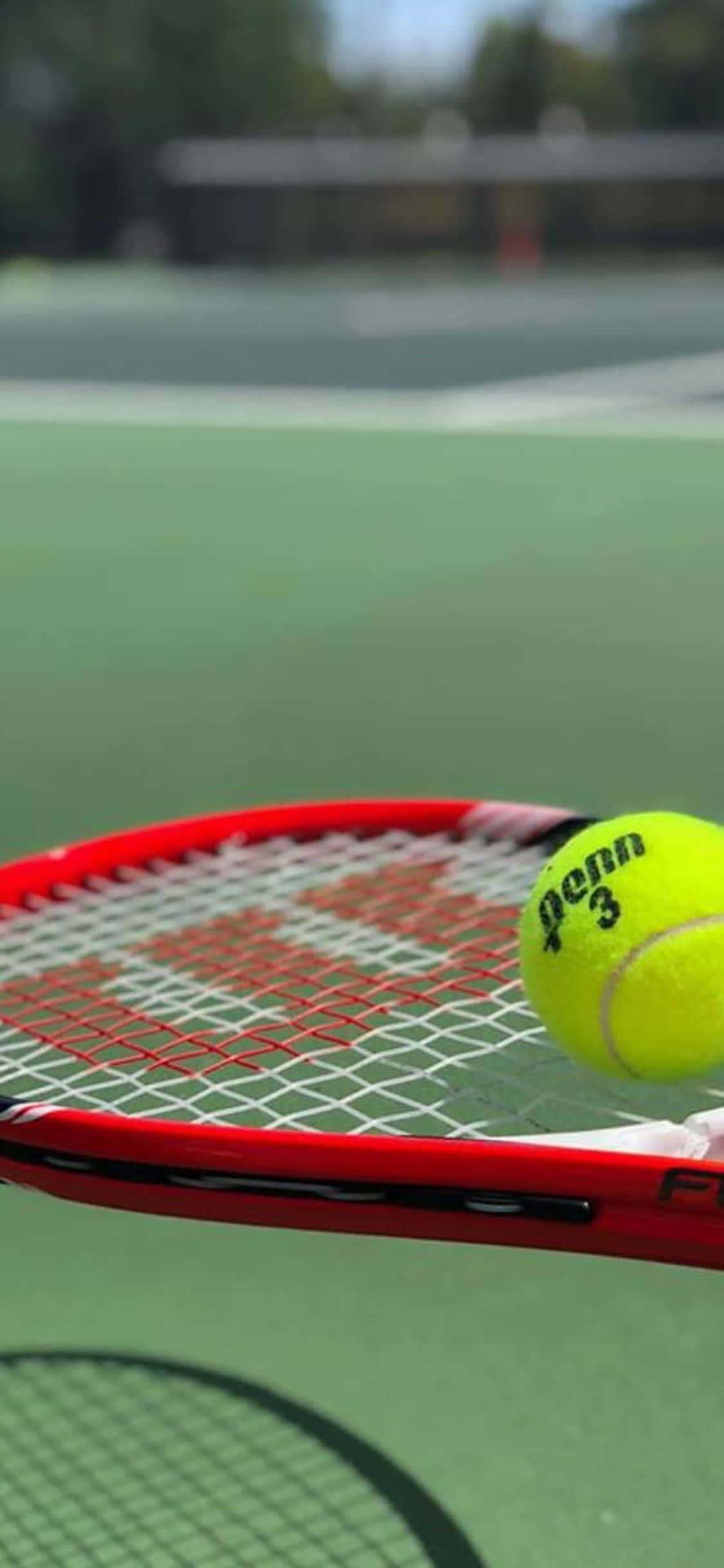 Nền Tennis iPhone Xs Hình nền