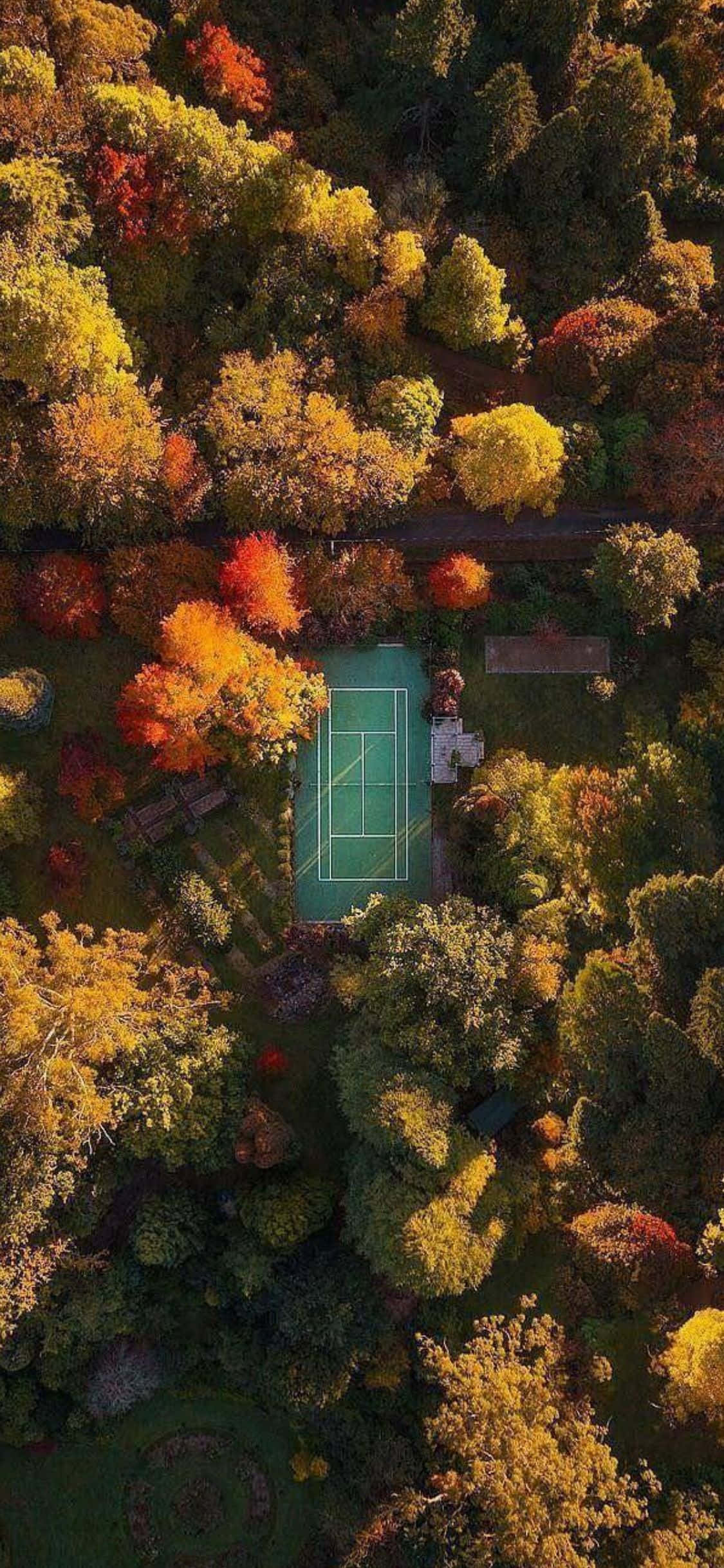Hình Nền Quần Vợt iPhone Xs Hình nền