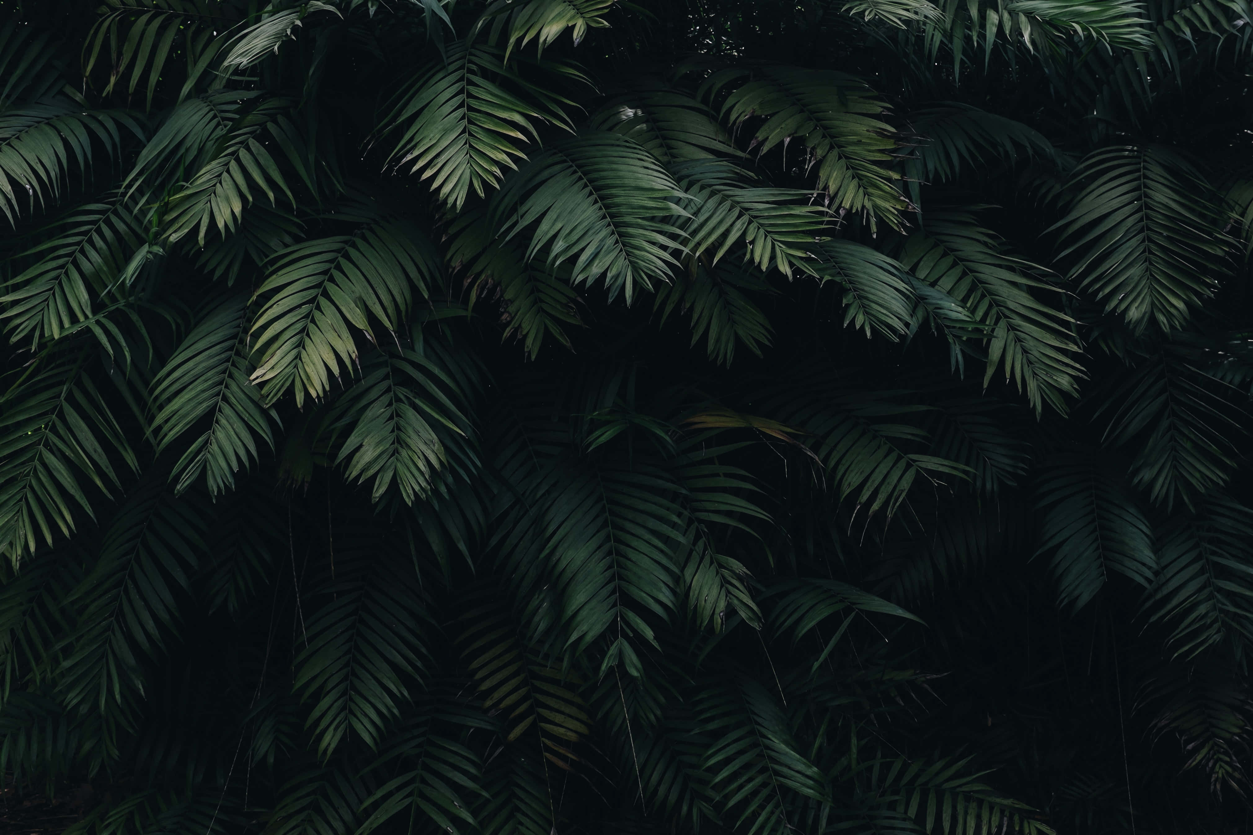 Hình nền thẩm mỹ xanh đậm Hình nền