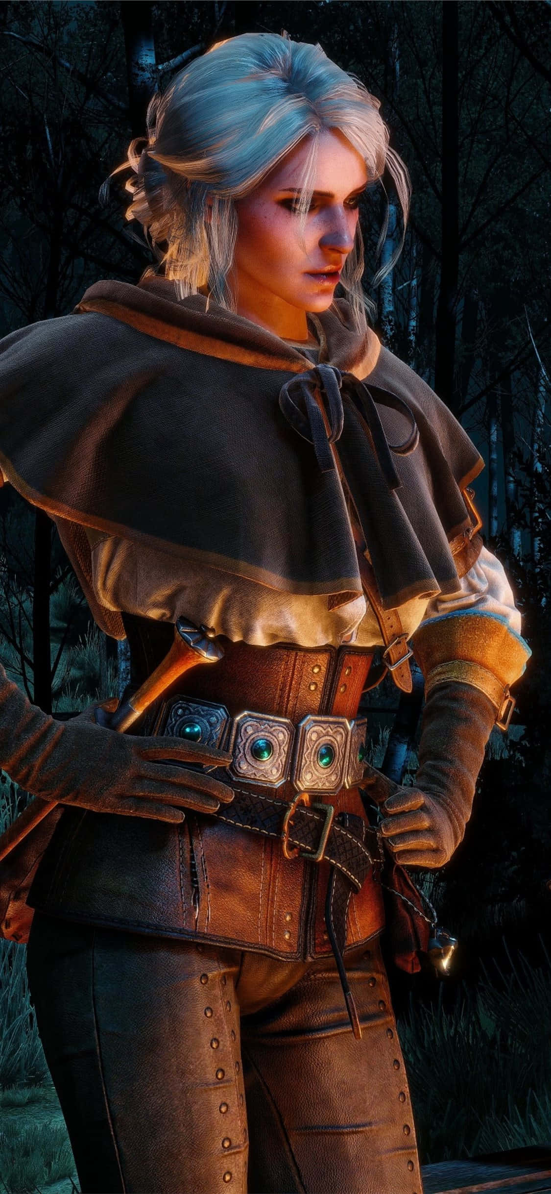 Nền The Witcher 3 Đẹp Nhất Hình nền
