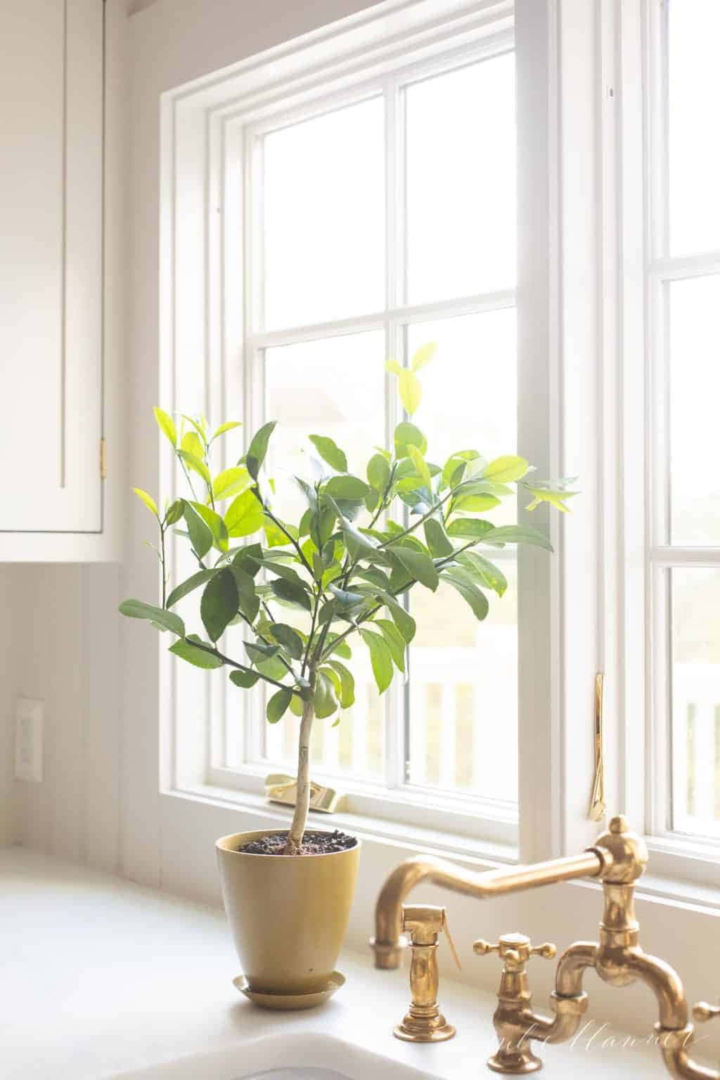 Hình nền tối giản thẩm mỹ Hình nền