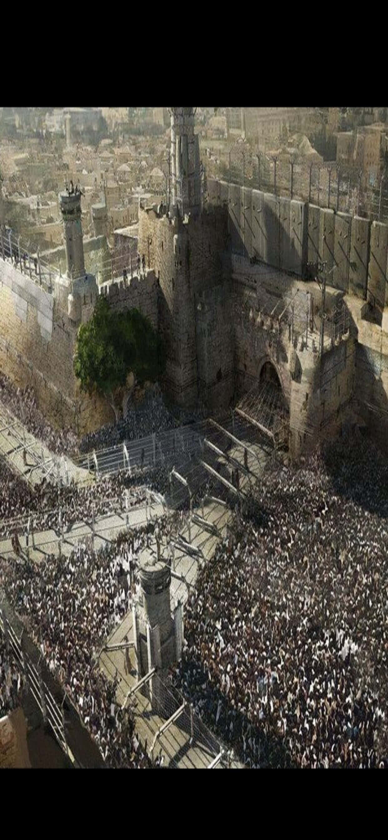Hình nền World War Z iPhone XS Max concept art Hình nền