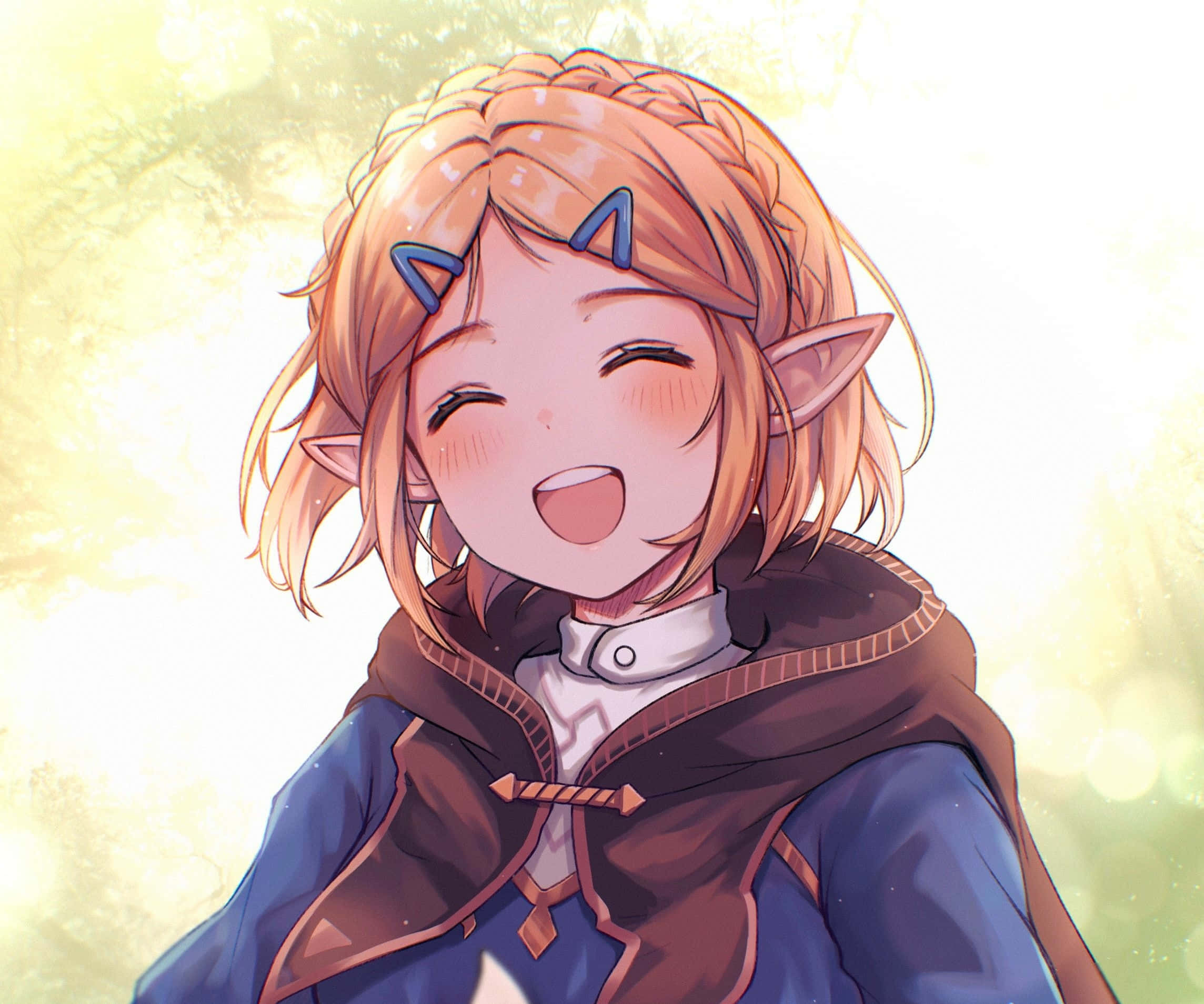 Hình nền Zelda Hình nền