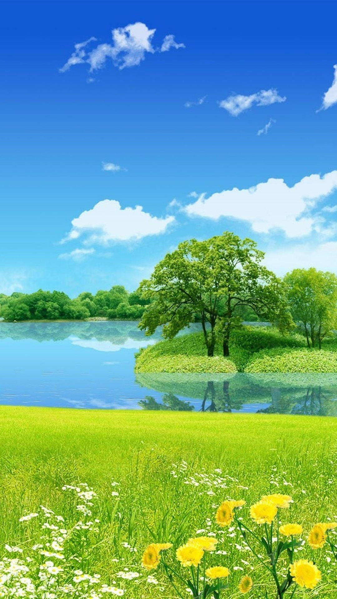 Hồ Đảo Thiên Nhiên Hình nền