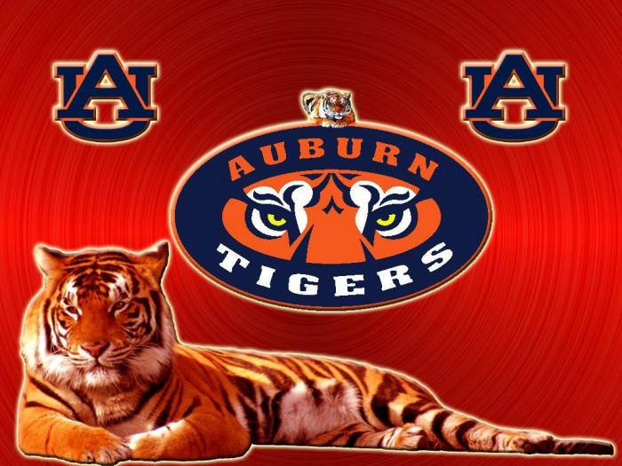 Hổ đỏ Bóng bầu dục Auburn
