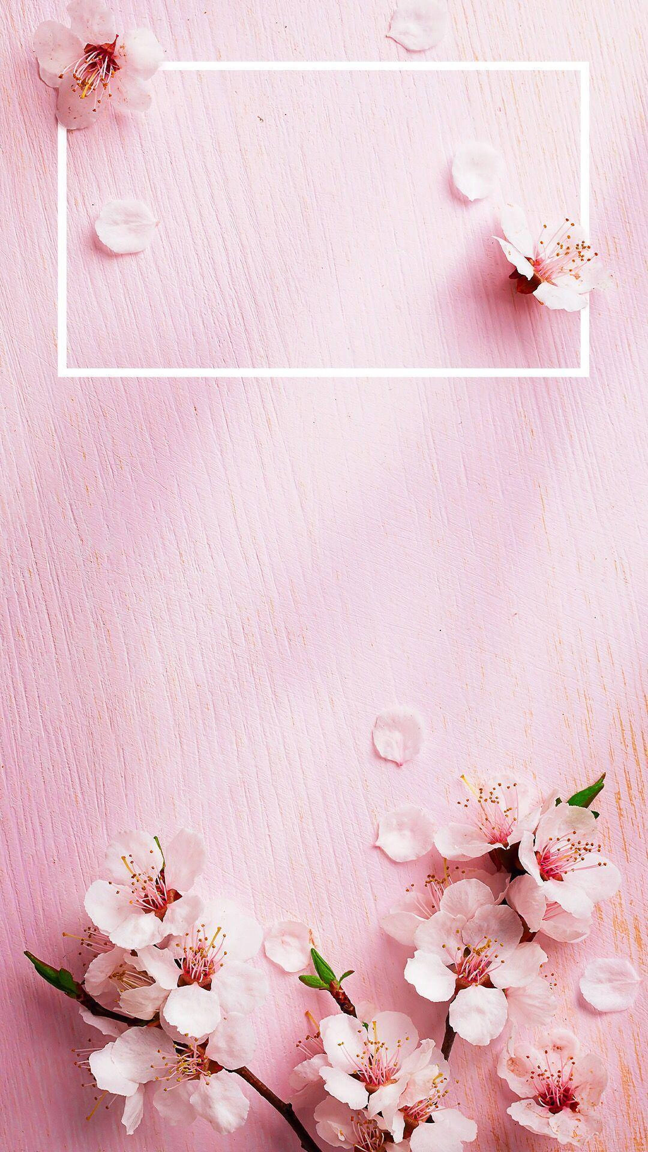 Hoa anh đào Nhật Bản phong cách Rose Gold Hình nền