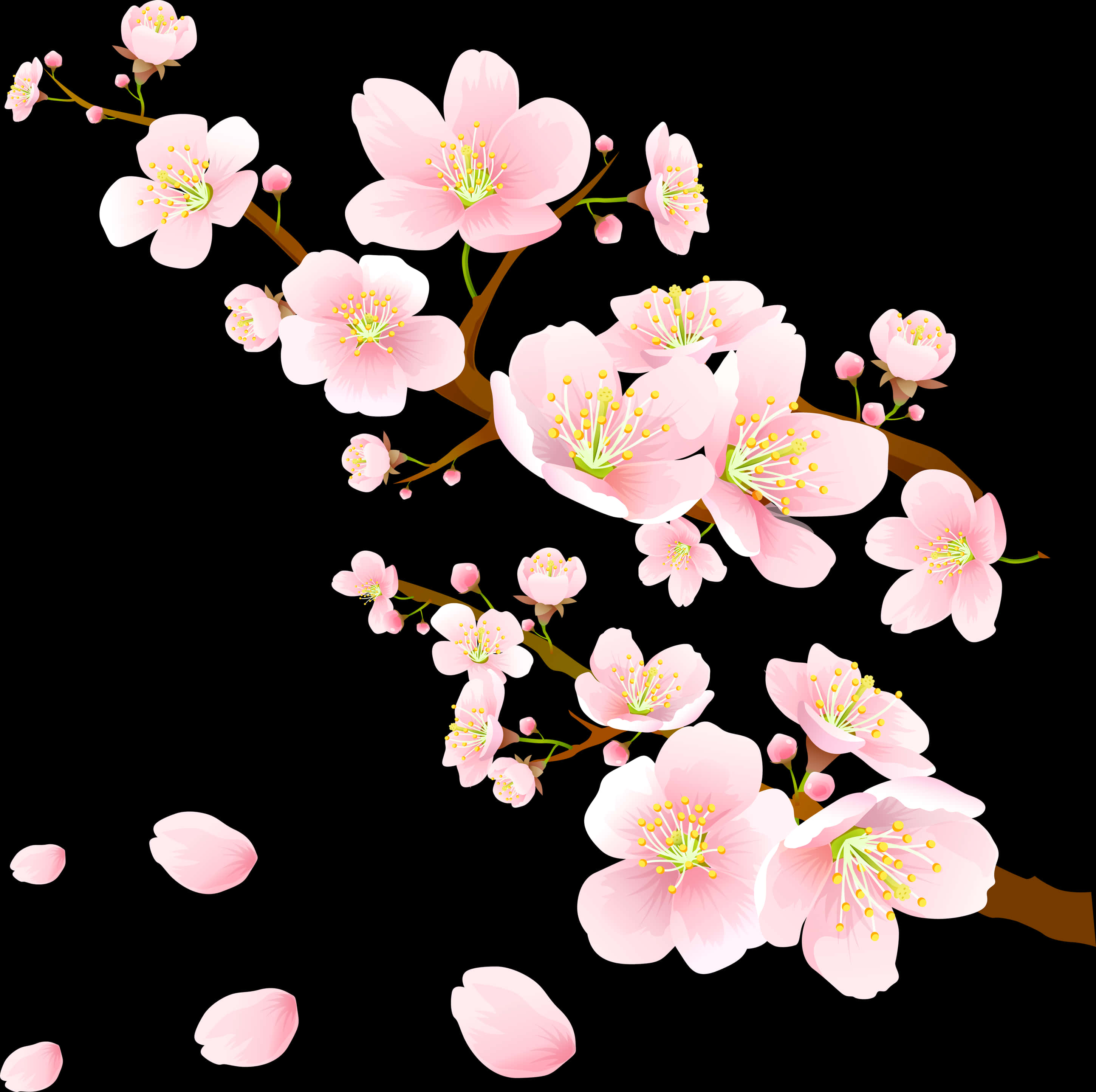 Hoa Anh Đào Nở Hồng Hình nền