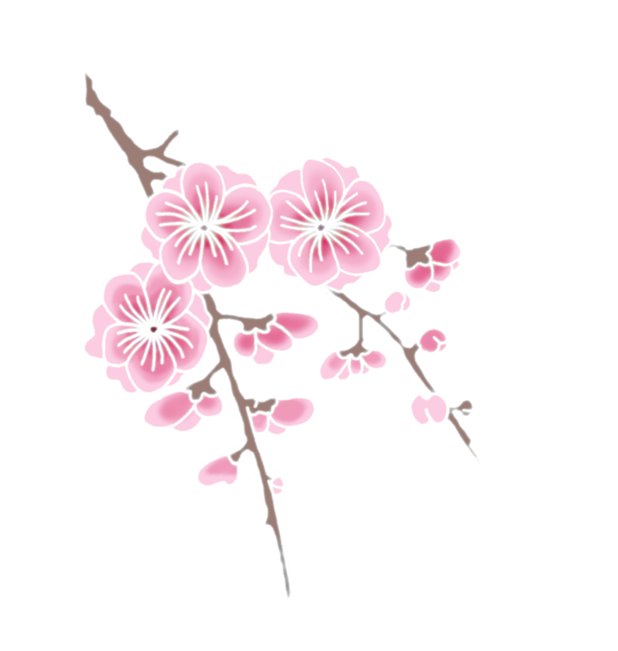 Hoa anh đào trên cành Hình nền