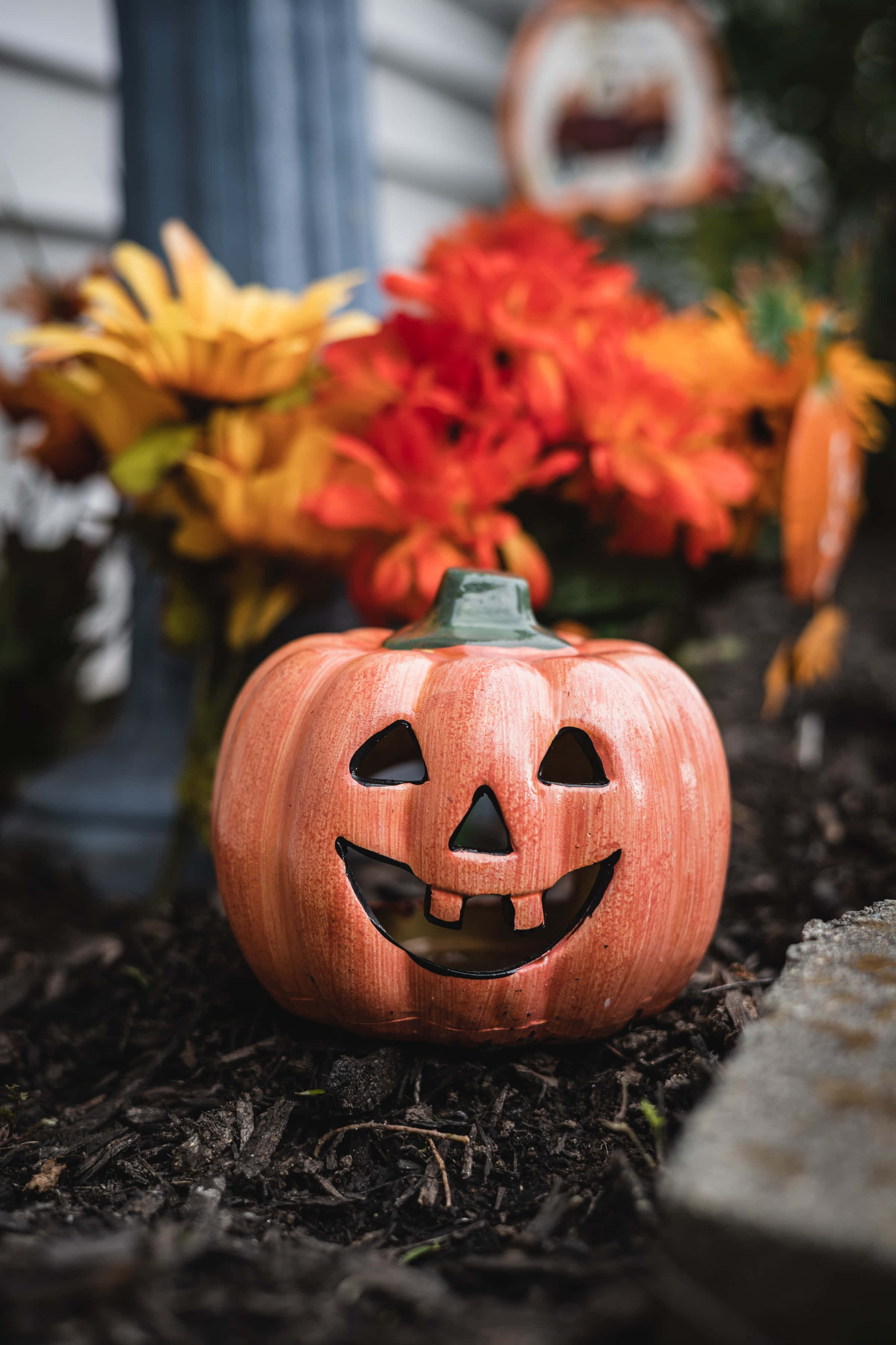 Hoa Bí Ngô Nền Halloween Độ Phân Giải Cao Hình nền