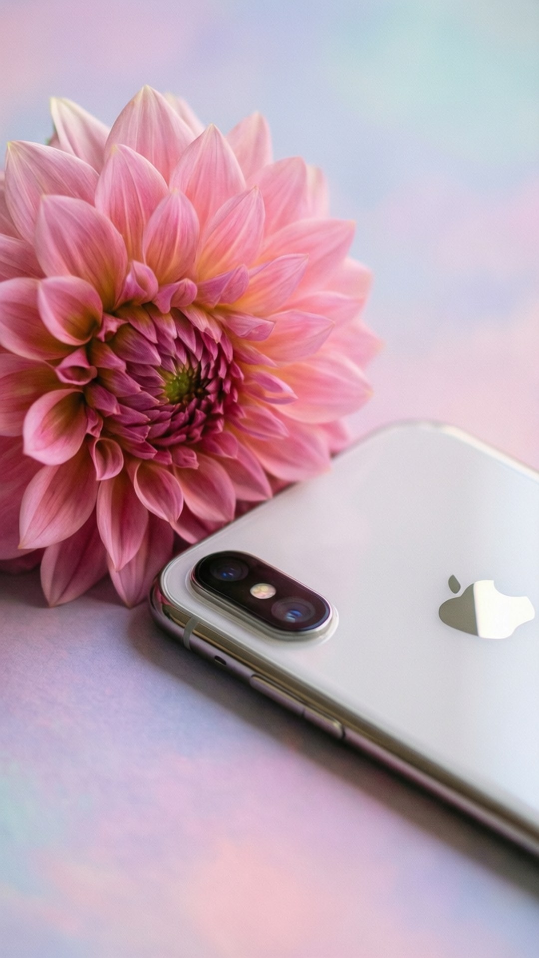 Hoa Cỏ Thanh Lịch iPhone XR Hình nền