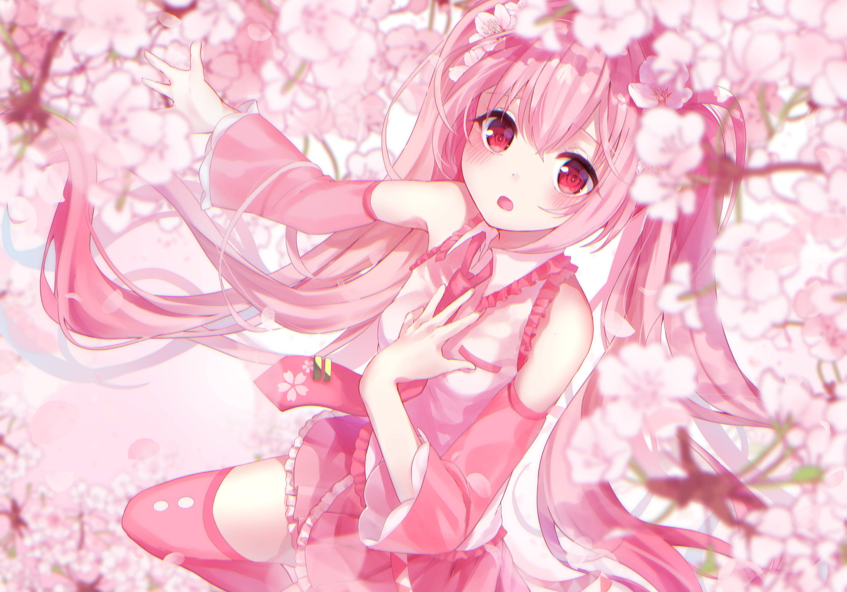 Hoa Hồng Anime Aesthetic Hình nền