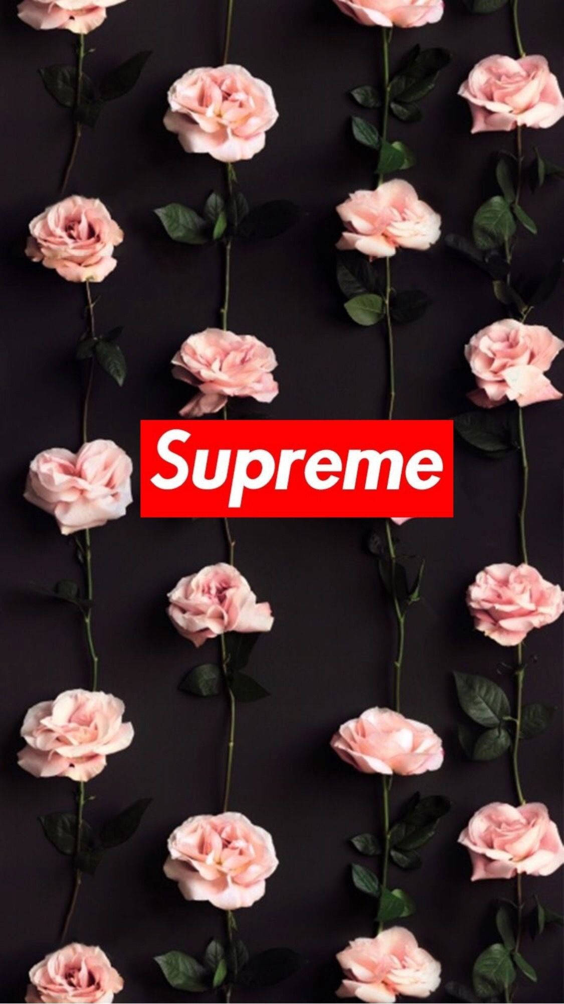 Hoa Hồng Supreme Dễ Thương Cho iPhone Hình nền