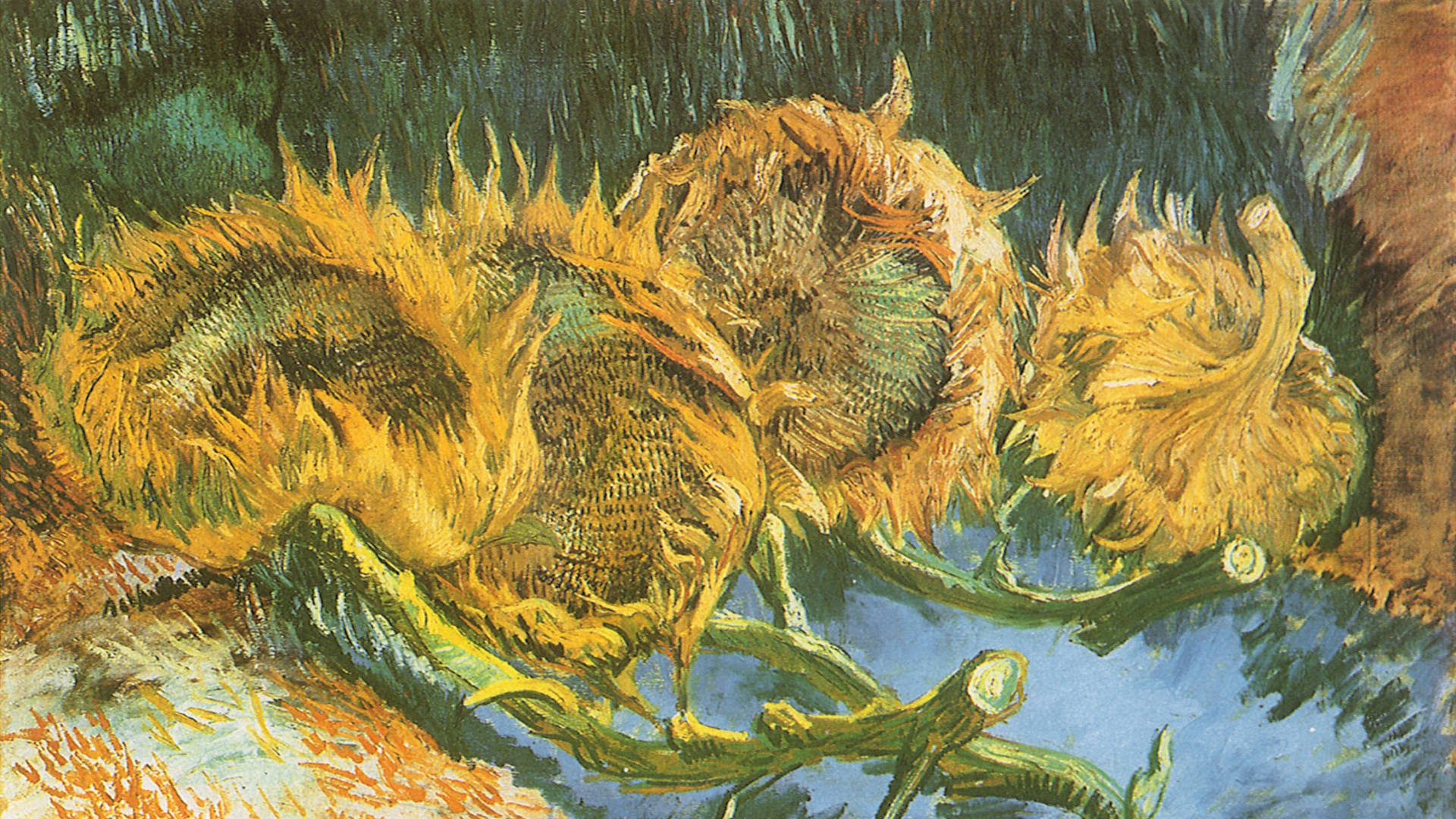 Hoa hướng dương Van Gogh Hình nền