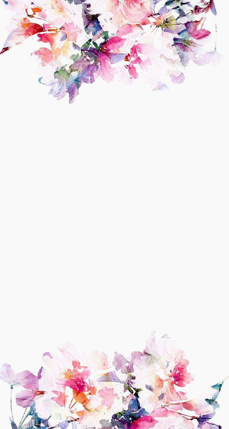 Hoa màu nước iPhone Hình nền
