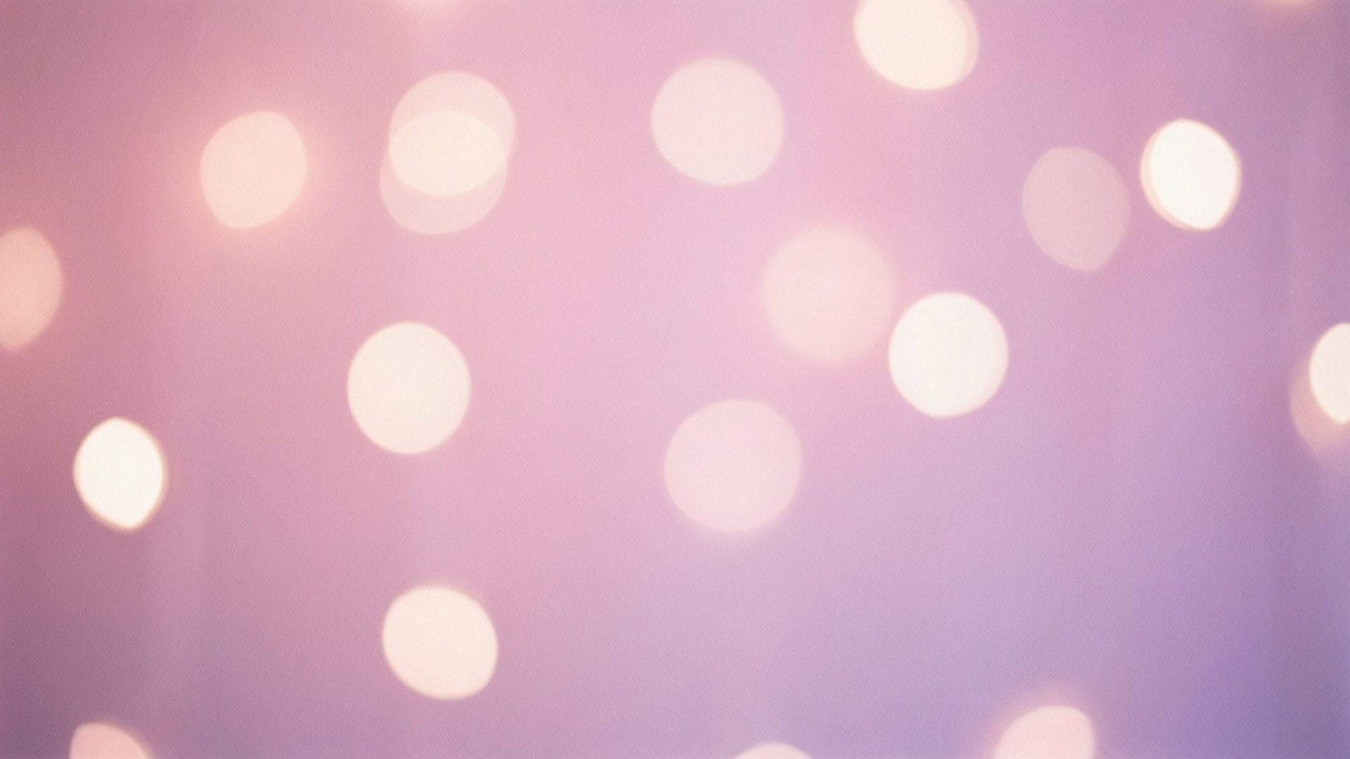 Hoa oải hương hồng bokeh Hình nền