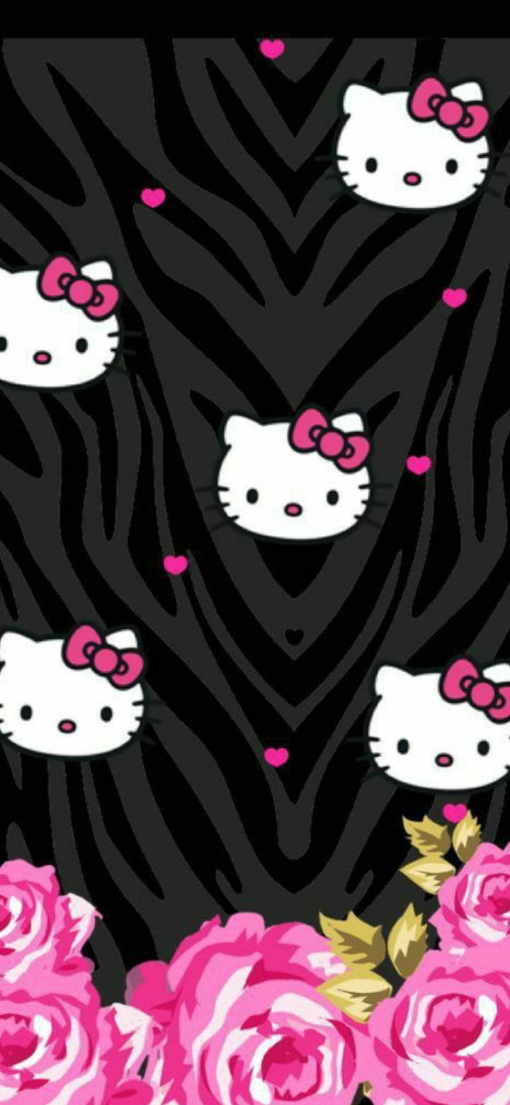 Họa tiết động vật đen Hello Kitty Hình nền