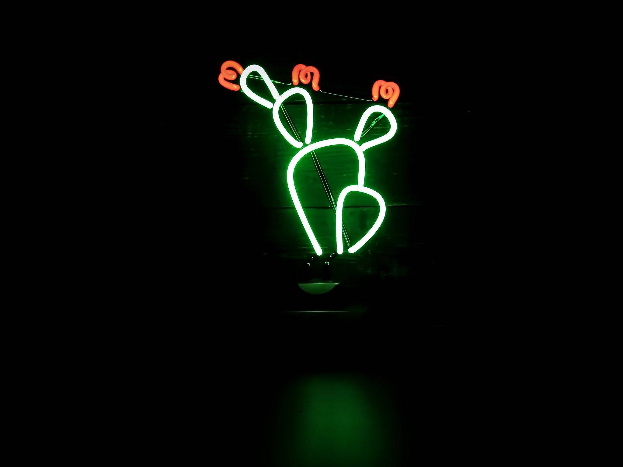 Hoa Xương Rồng Phong Cách Neon Xanh Hình nền