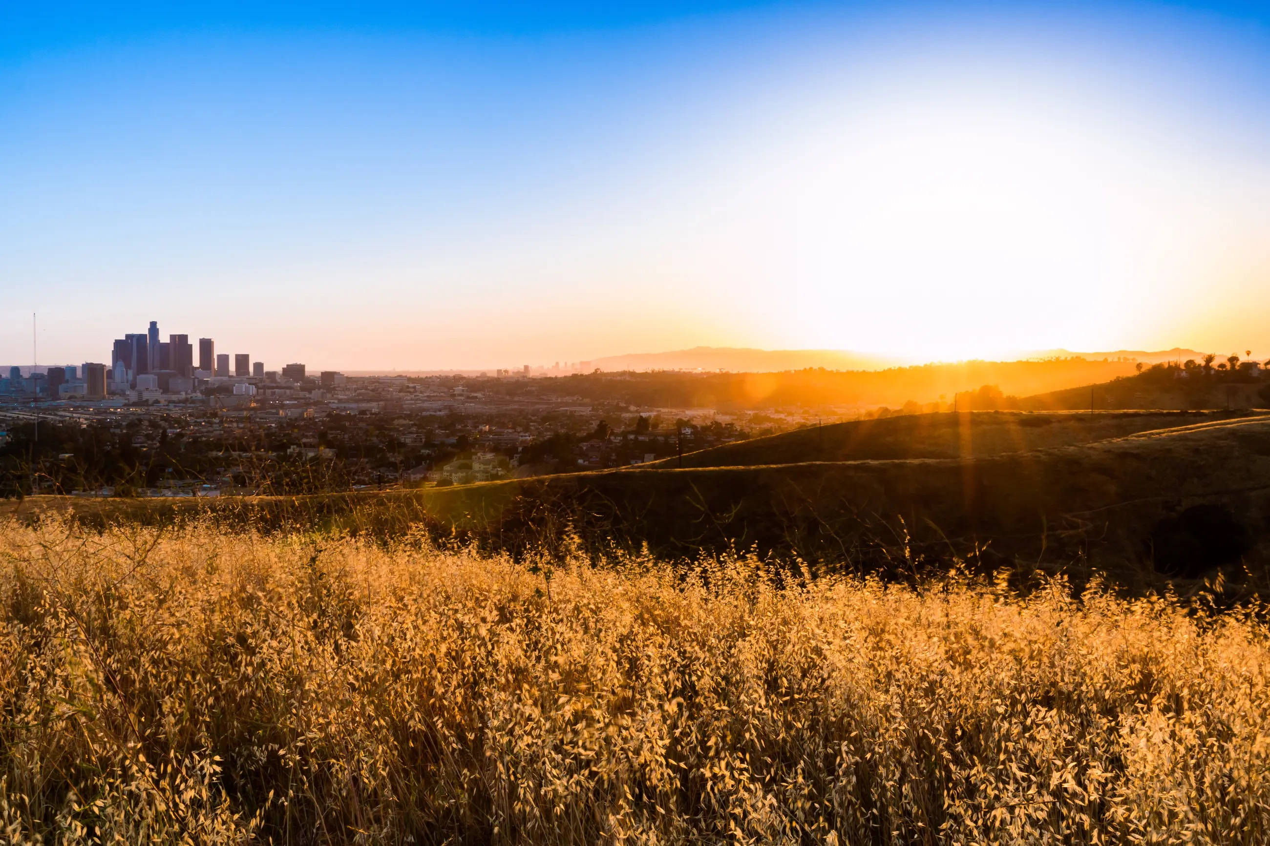 Hoàng hôn Los Angeles tại Ascot Hills Hình nền