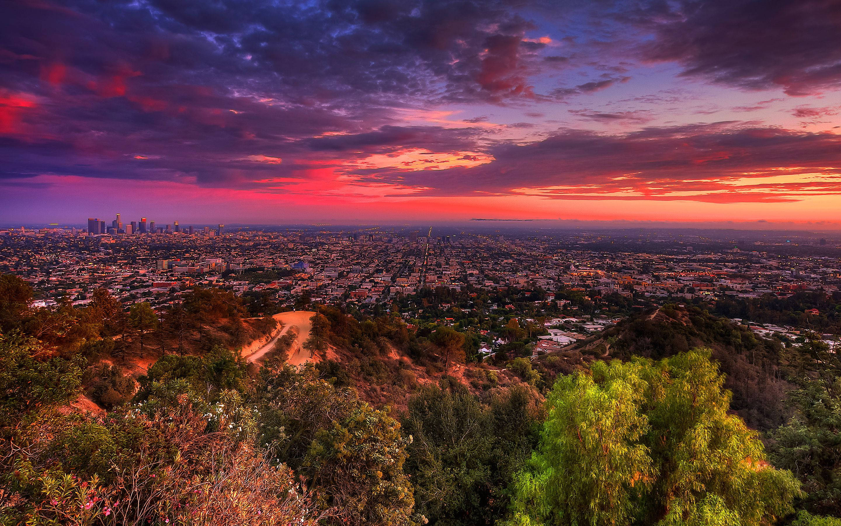 Hoàng hôn Los Angeles hùng vĩ Hình nền