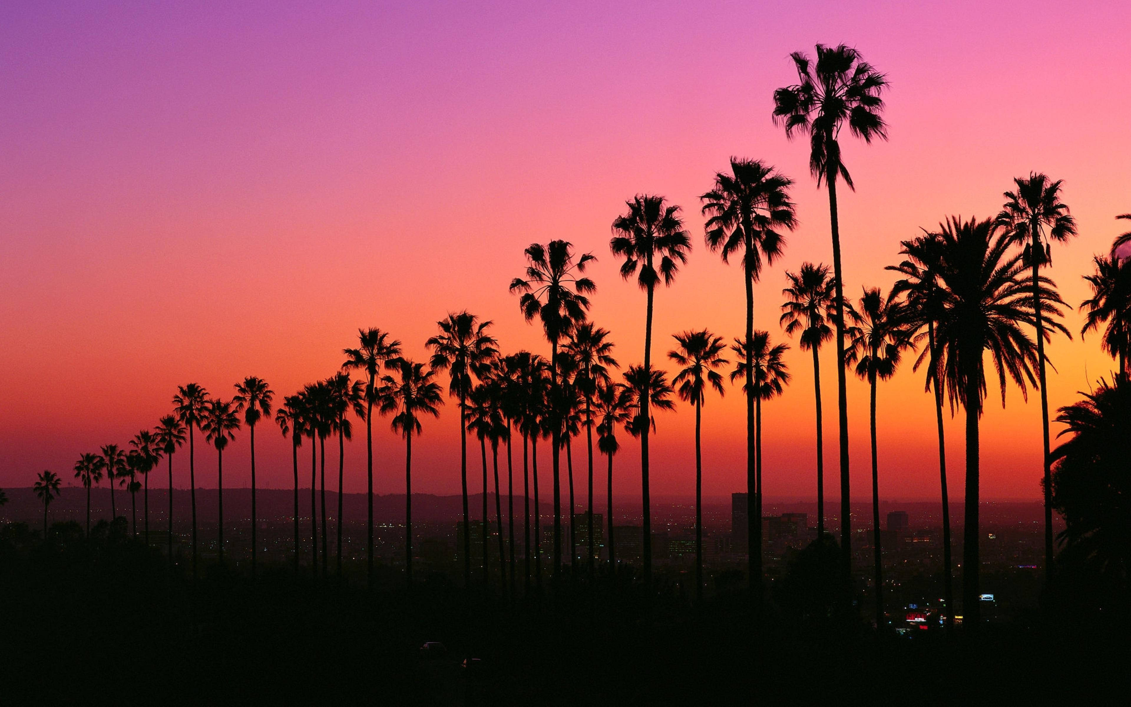 Hoàng hôn rực rỡ Los Angeles Hình nền