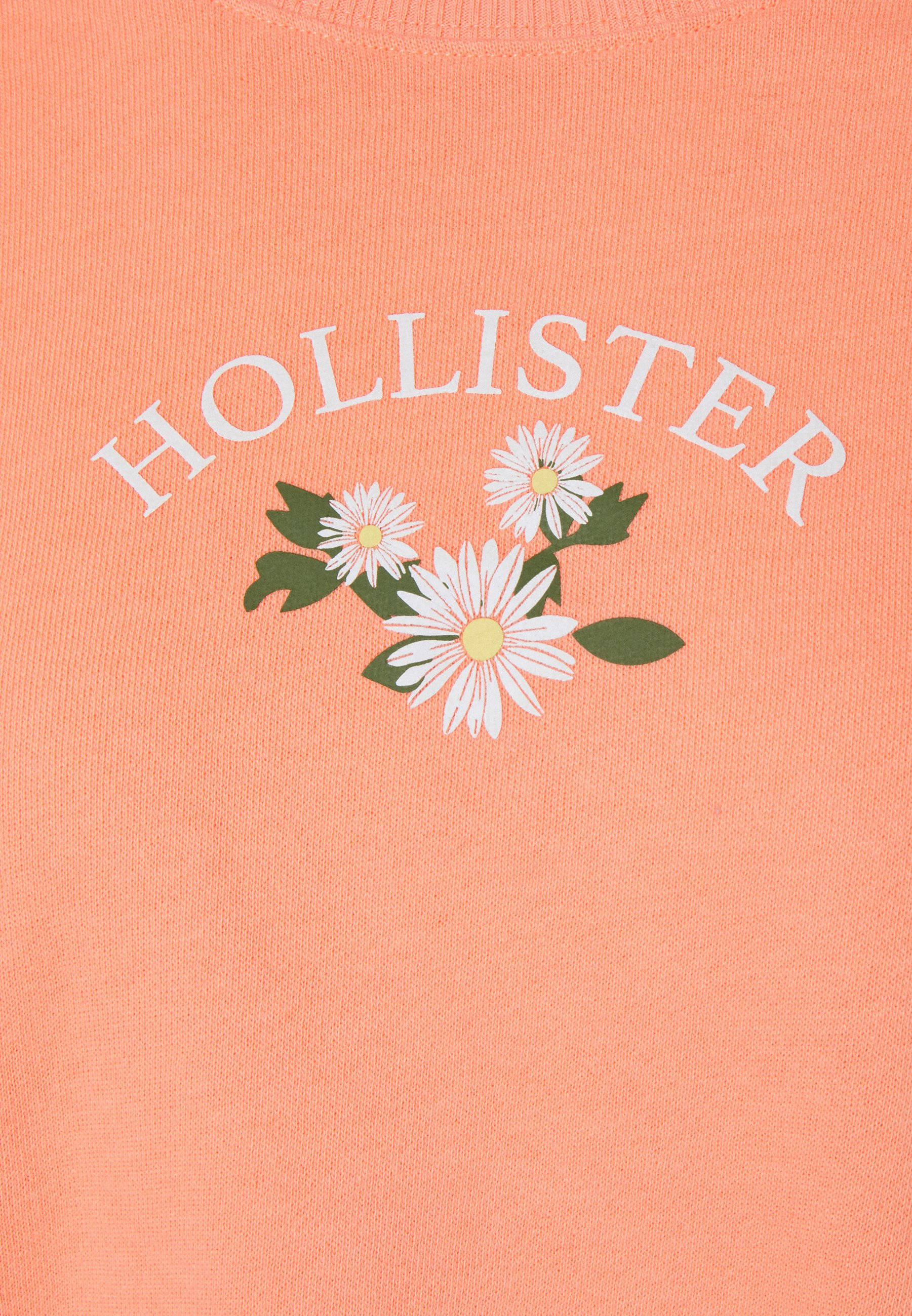 Hollister ba bông hoa trắng Hình nền