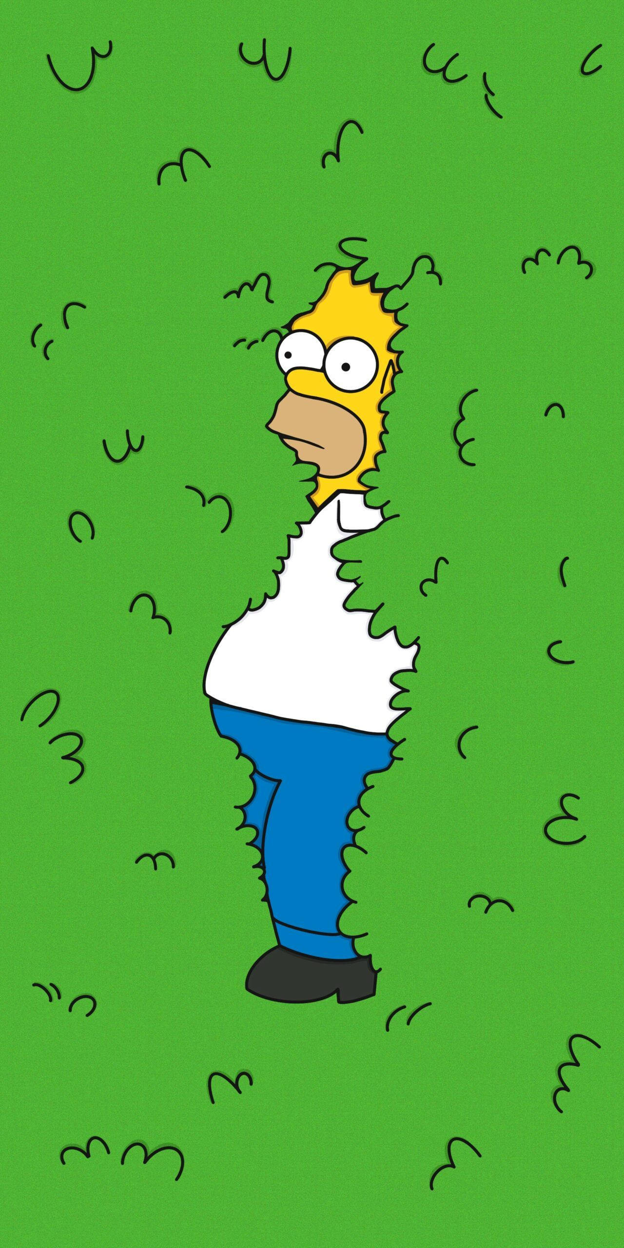 Homer Simpson hài hước trong rừng Hình nền