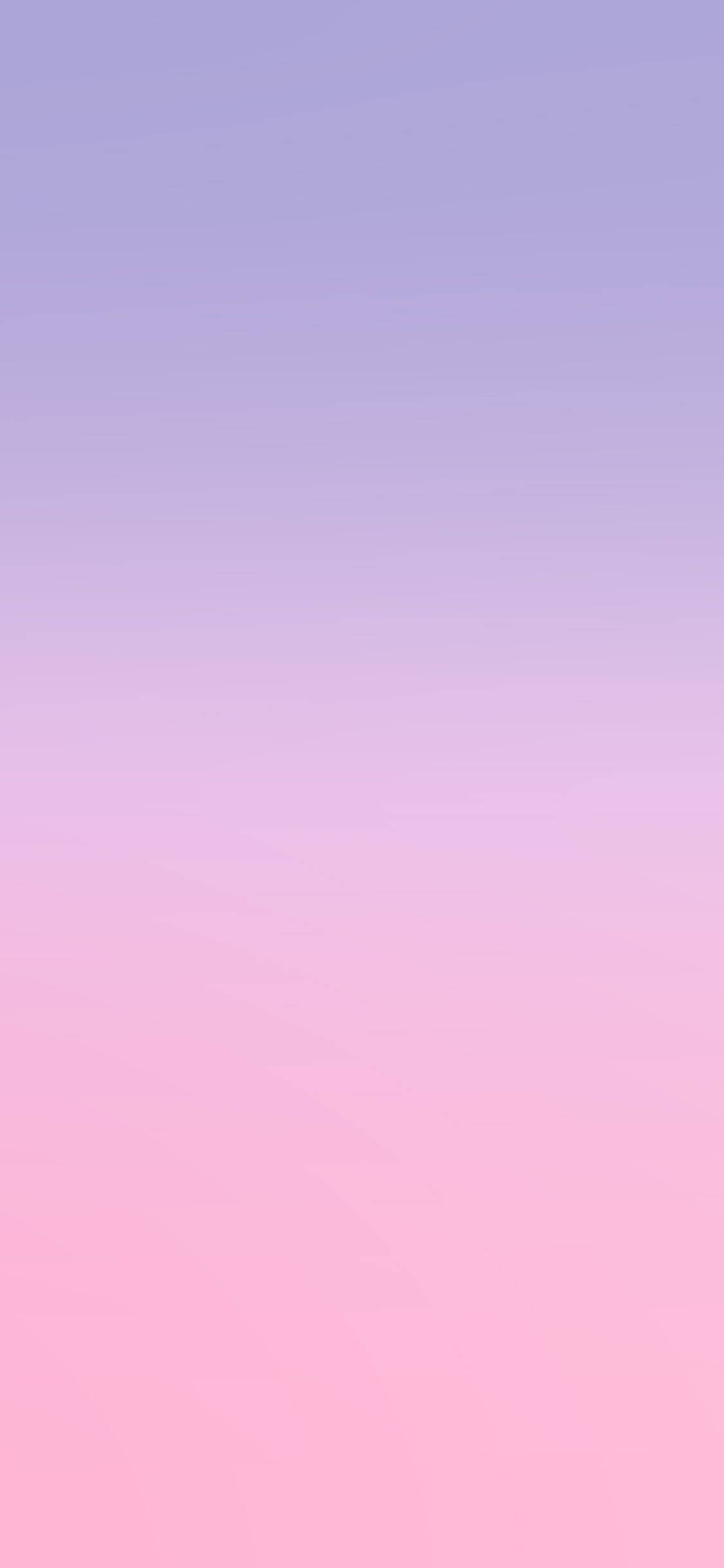 Hồng Tím Nhạt Phong Cách Gradient Hình nền