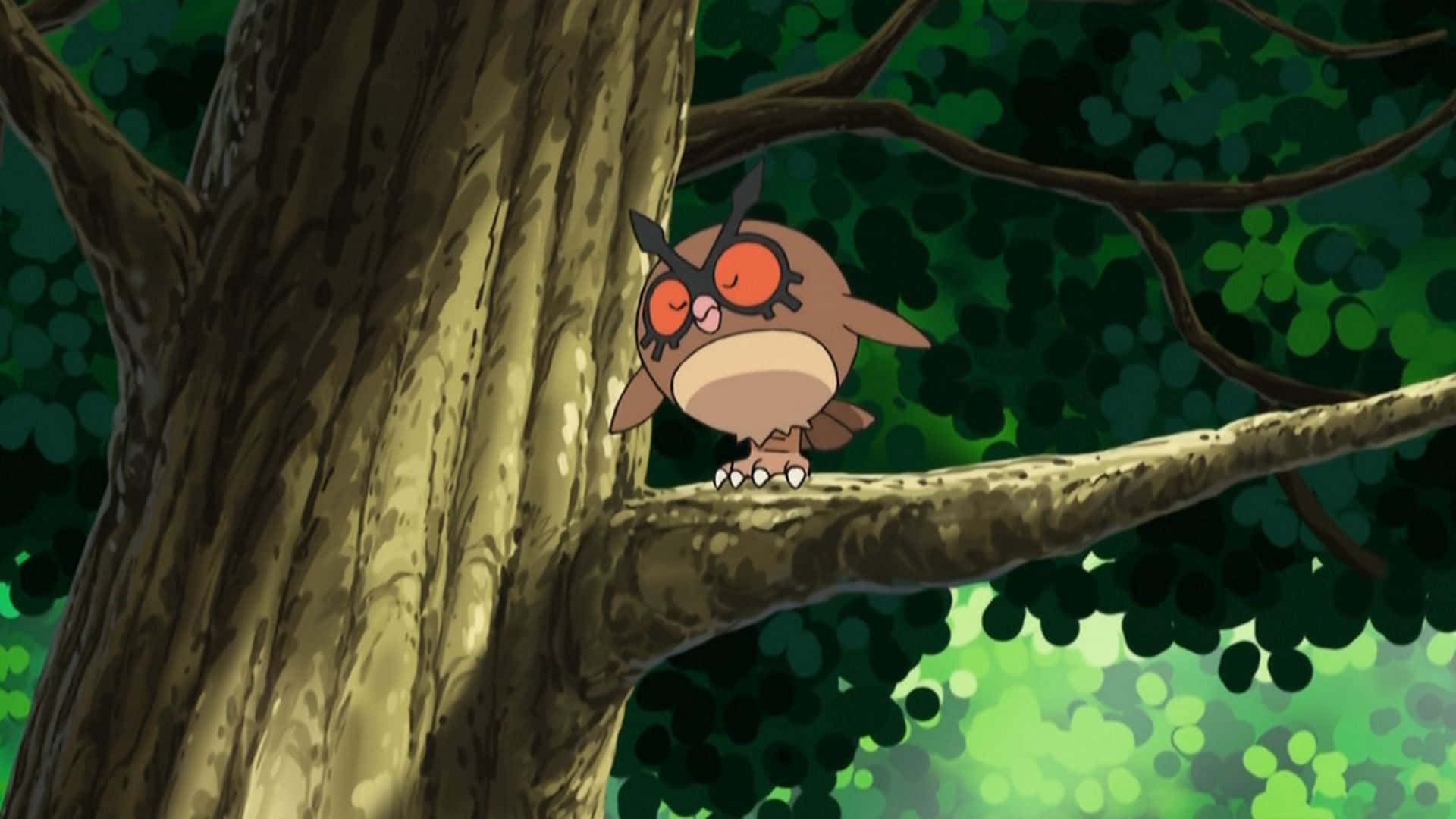 Hoothoot đậu trên cành cây Hình nền