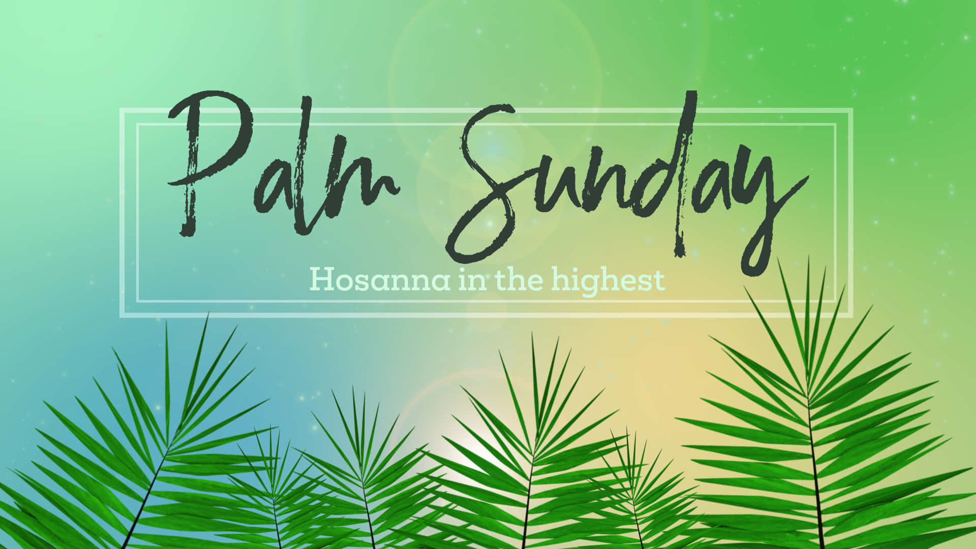 Hosanna Trên Cõi Trời Cao Chúa Nhật Lễ Lá Nền Chữ Hình nền