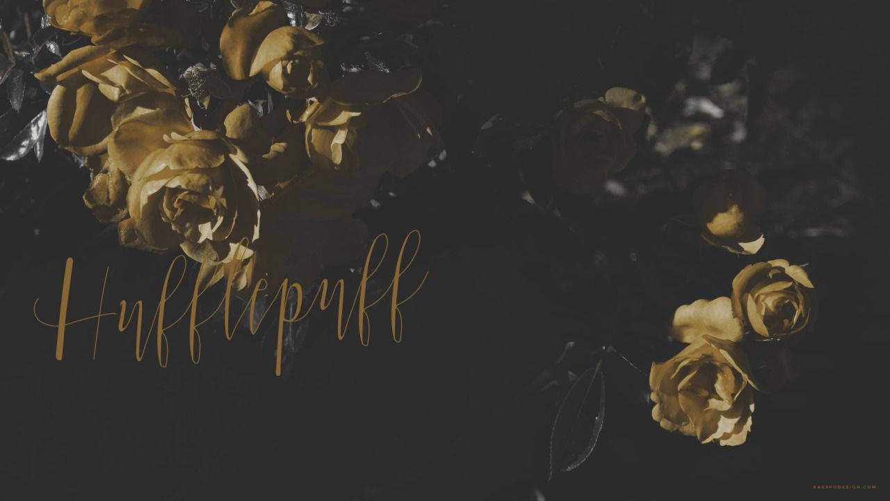 Hufflepuff phong cách Harry Potter Hình nền