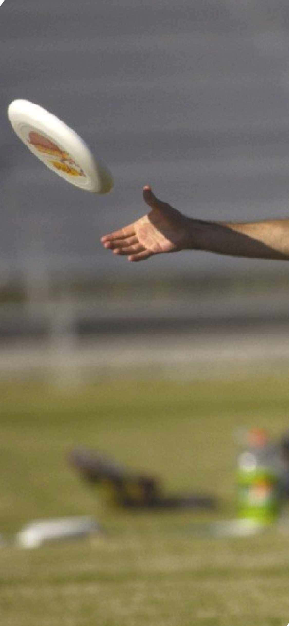 iPhone X Ultimate Frisbee Background Hand Catch Hình nền