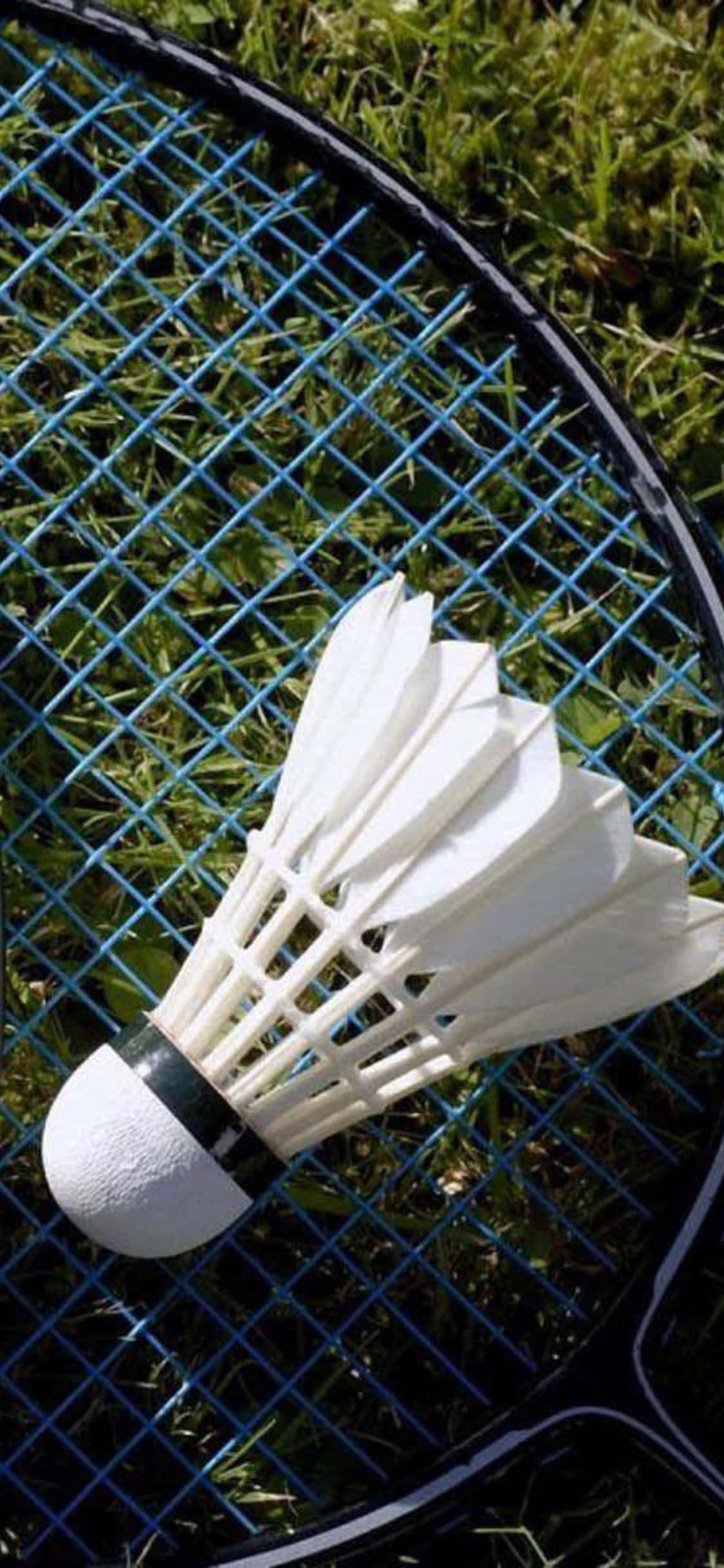 iPhone Xs Badminton Background Hình nền