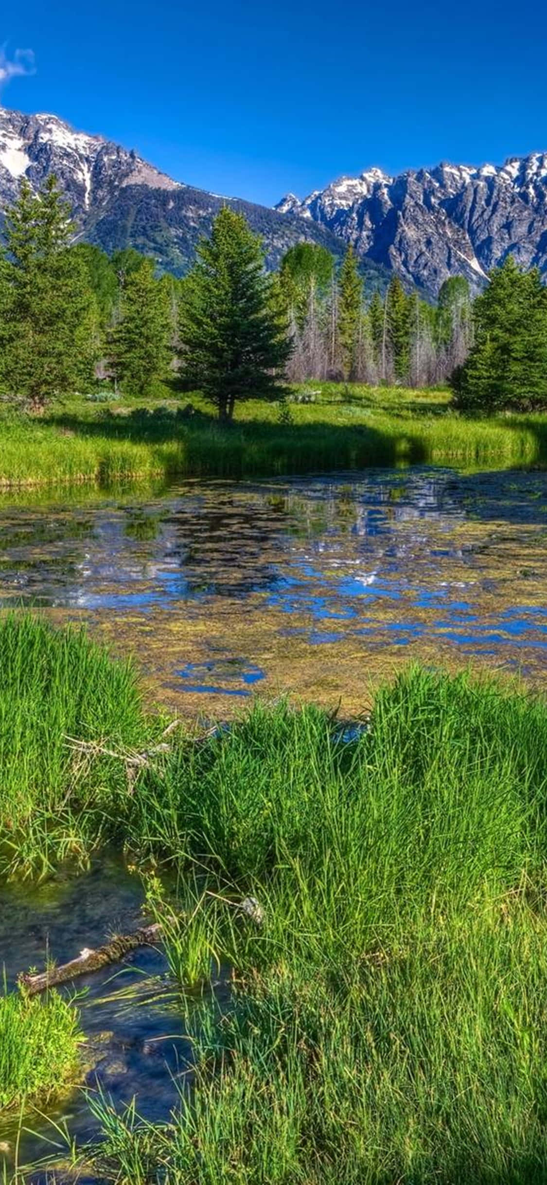 iPhone Xs Desktop Pc Nature Background Hình nền