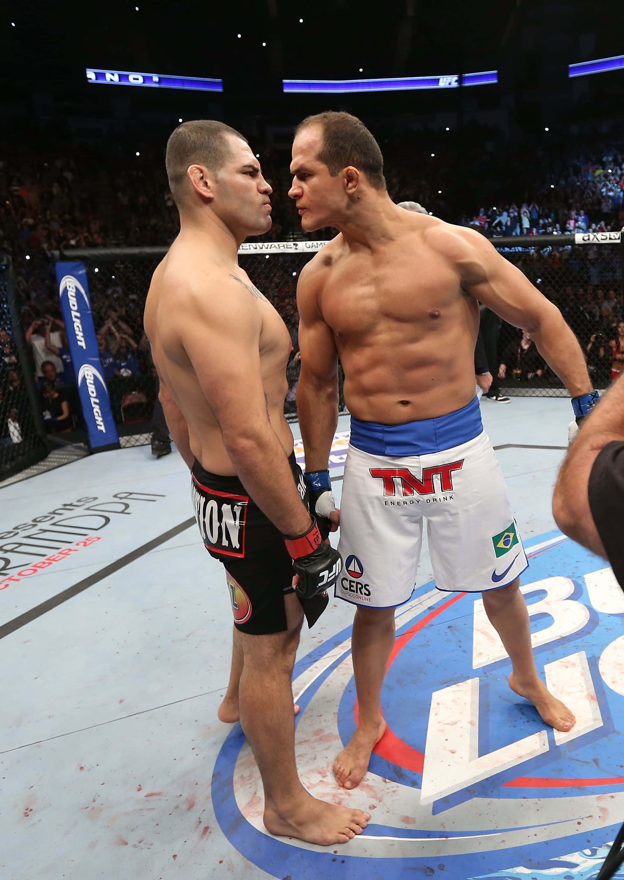 Junior Dos Santos UFC On Fox 1 Hình nền