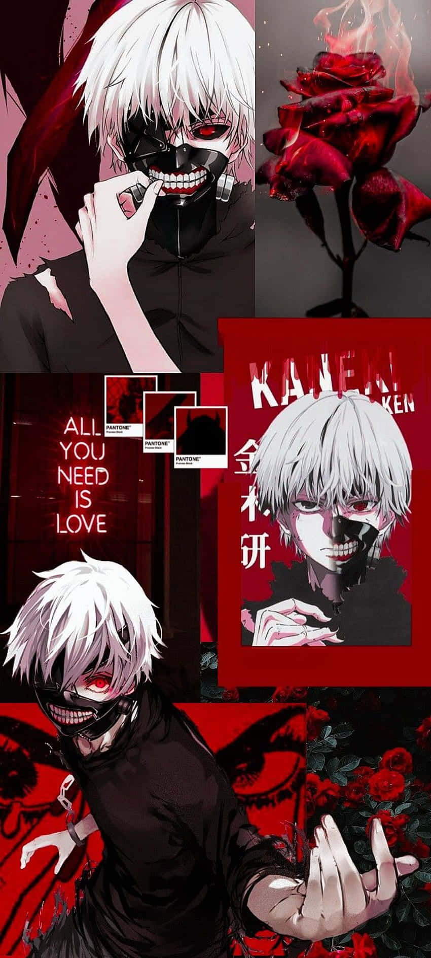 Kaneki Ken chiến đấu vì công lý trong Tokyo Ghoul Hình nền
