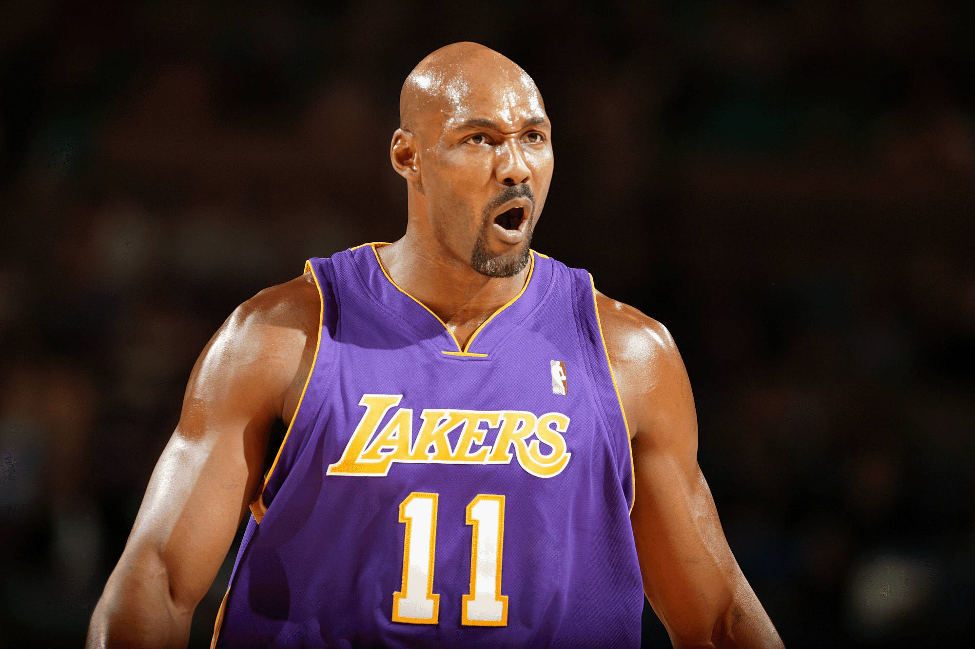 Karl Malone là cựu cầu thủ bóng rổ Hình nền