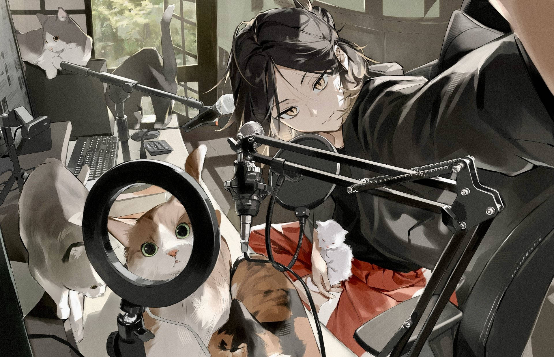 Kenma với những chú mèo trên bàn làm việc Hình nền