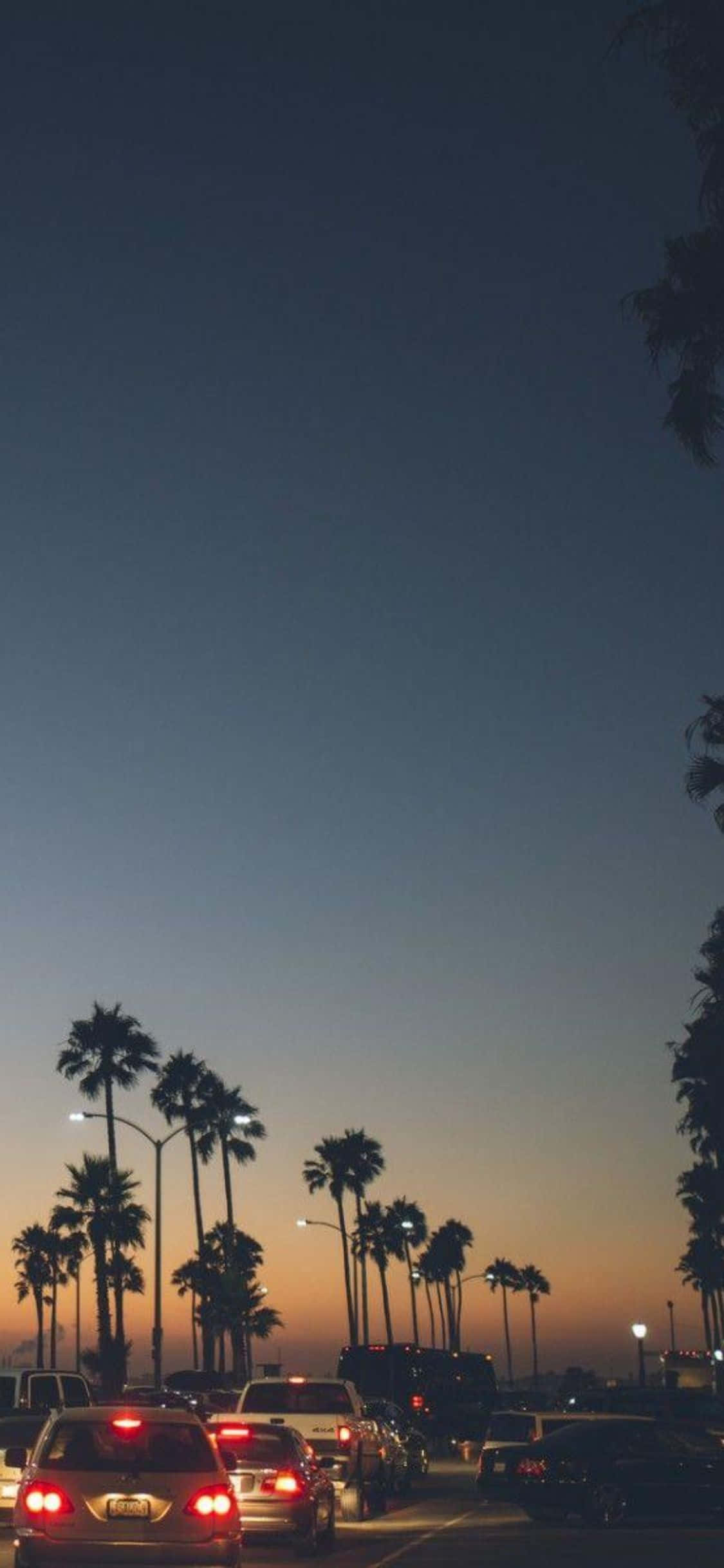 Khám phá Bờ biển California đầy phong cách cùng iPhone Xs Hình nền