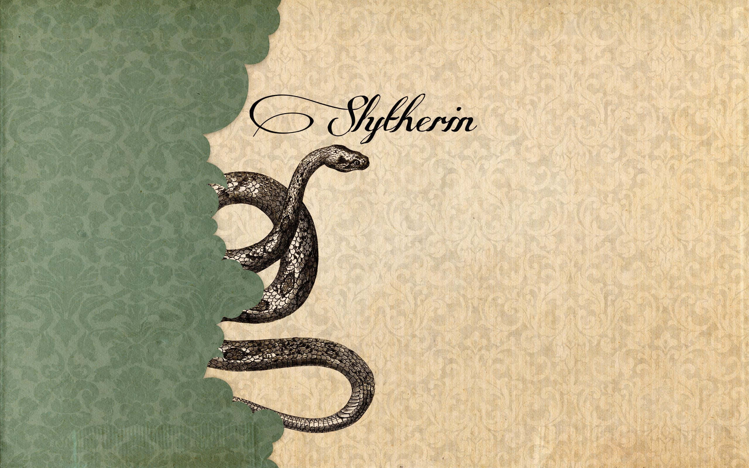 Khám phá nét quyến rũ bí ẩn của Slytherin Aesthetic 🐍 Hình nền