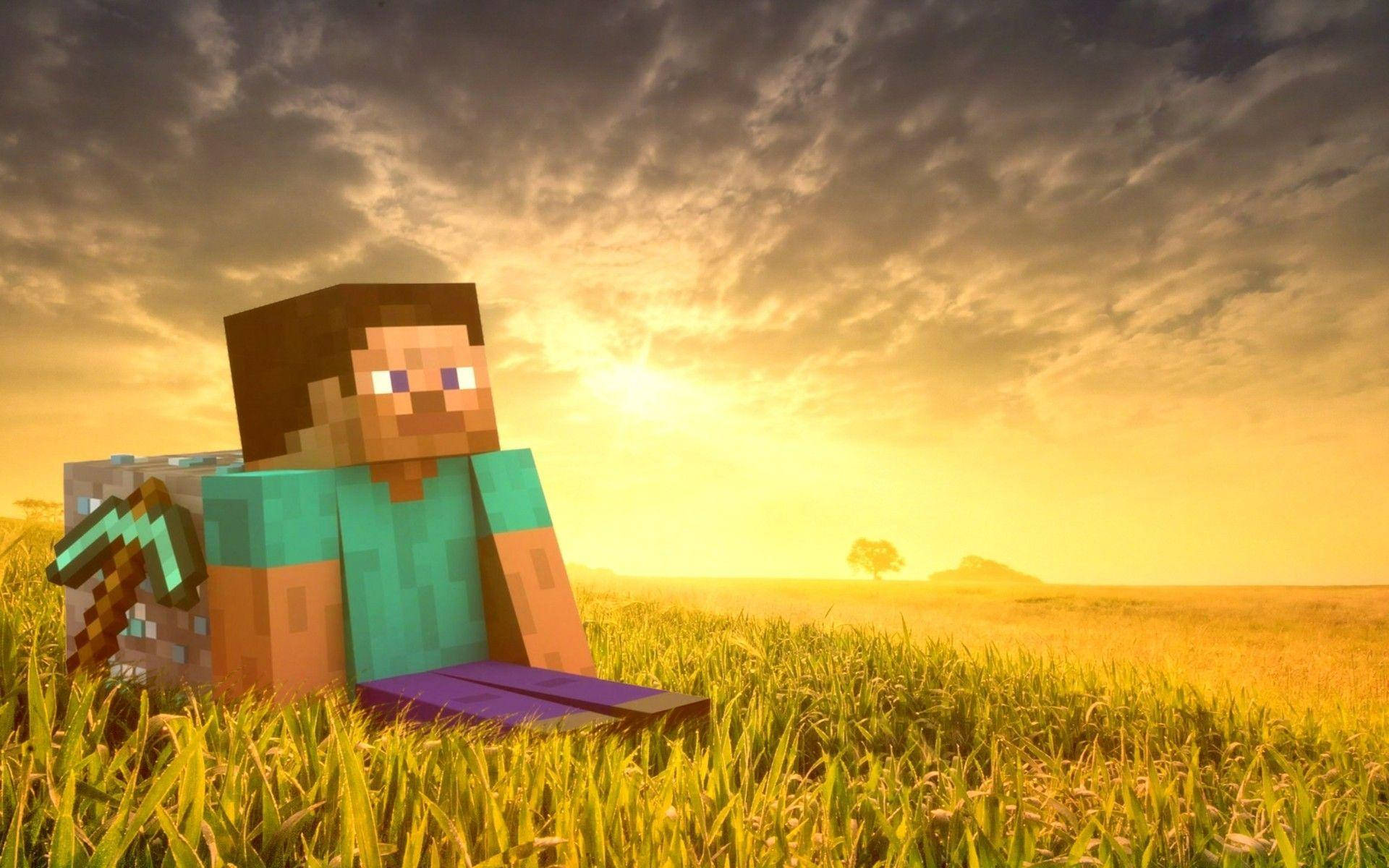 Hình nền HD Minecraft Steve Trên Cánh Đồng Cỏ