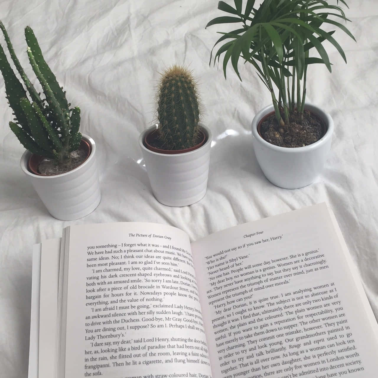 "Khám phá thế giới sách! 📖" Hình nền