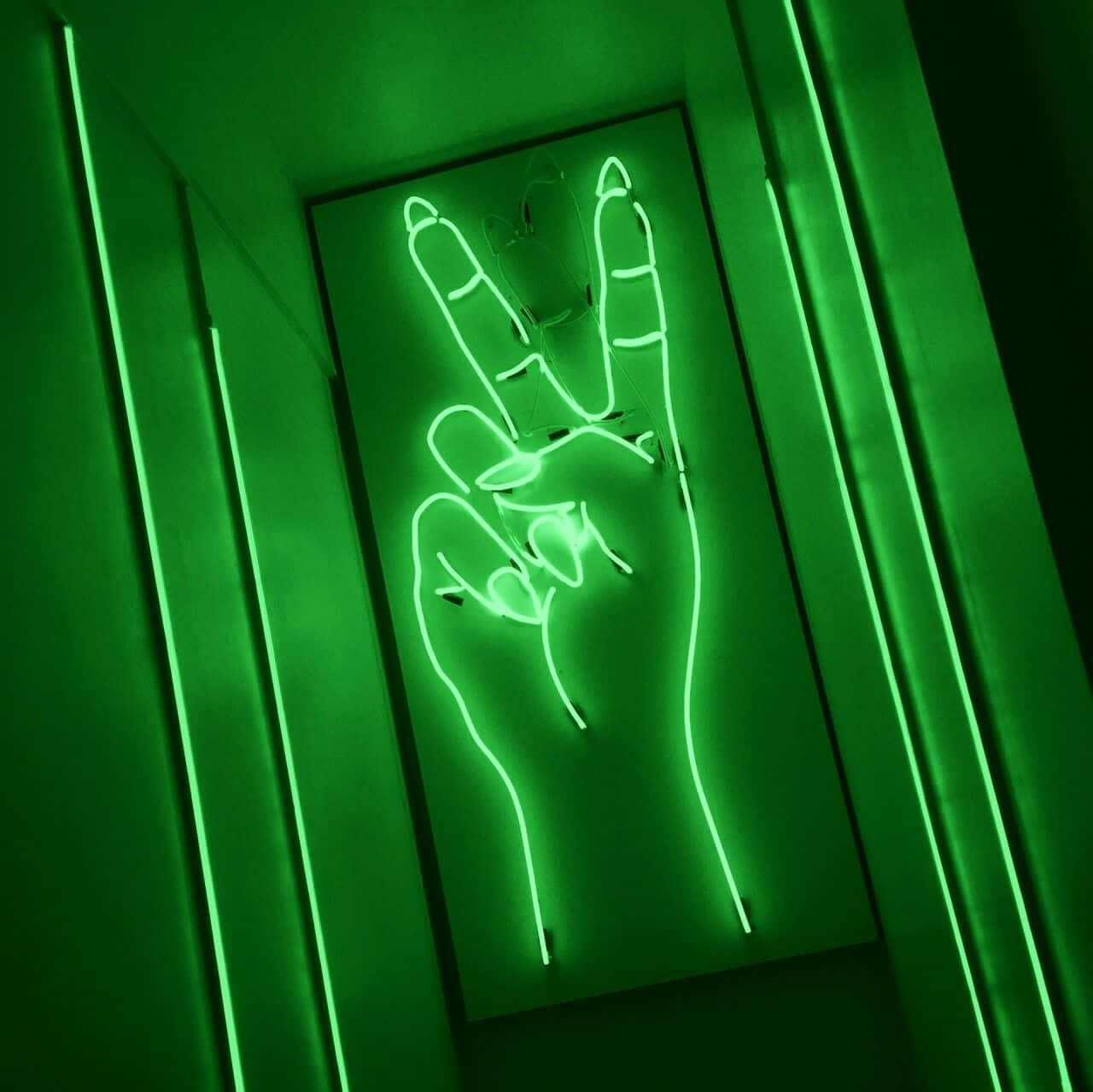 Khám phá vẻ đẹp của phong cách neon Hình nền