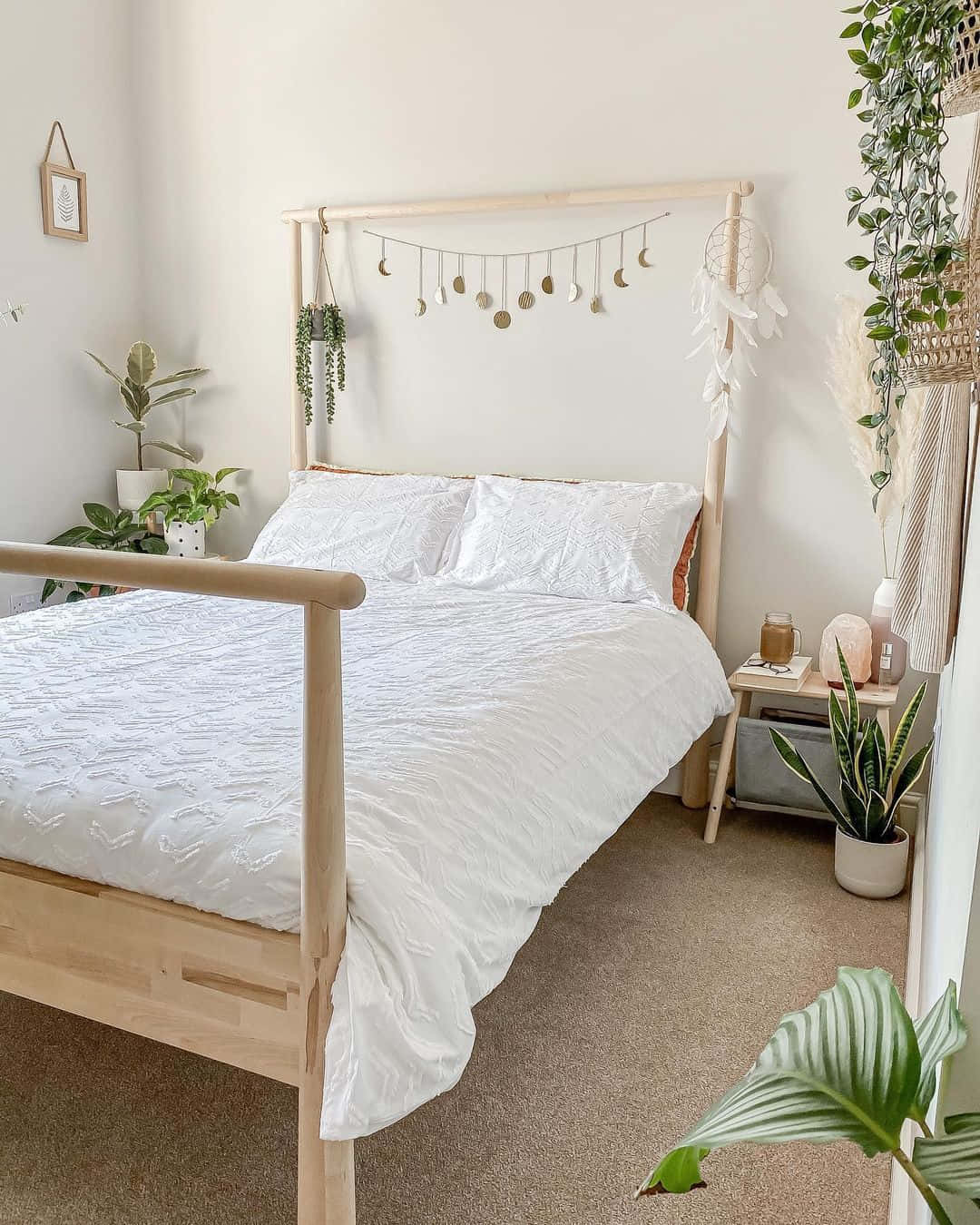 Khám phá vẻ đẹp cuộc sống trong Aesthetic White Hình nền