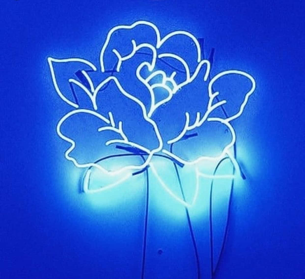 Khám phá vẻ đẹp siêu thực của phong cách xanh neon Hình nền