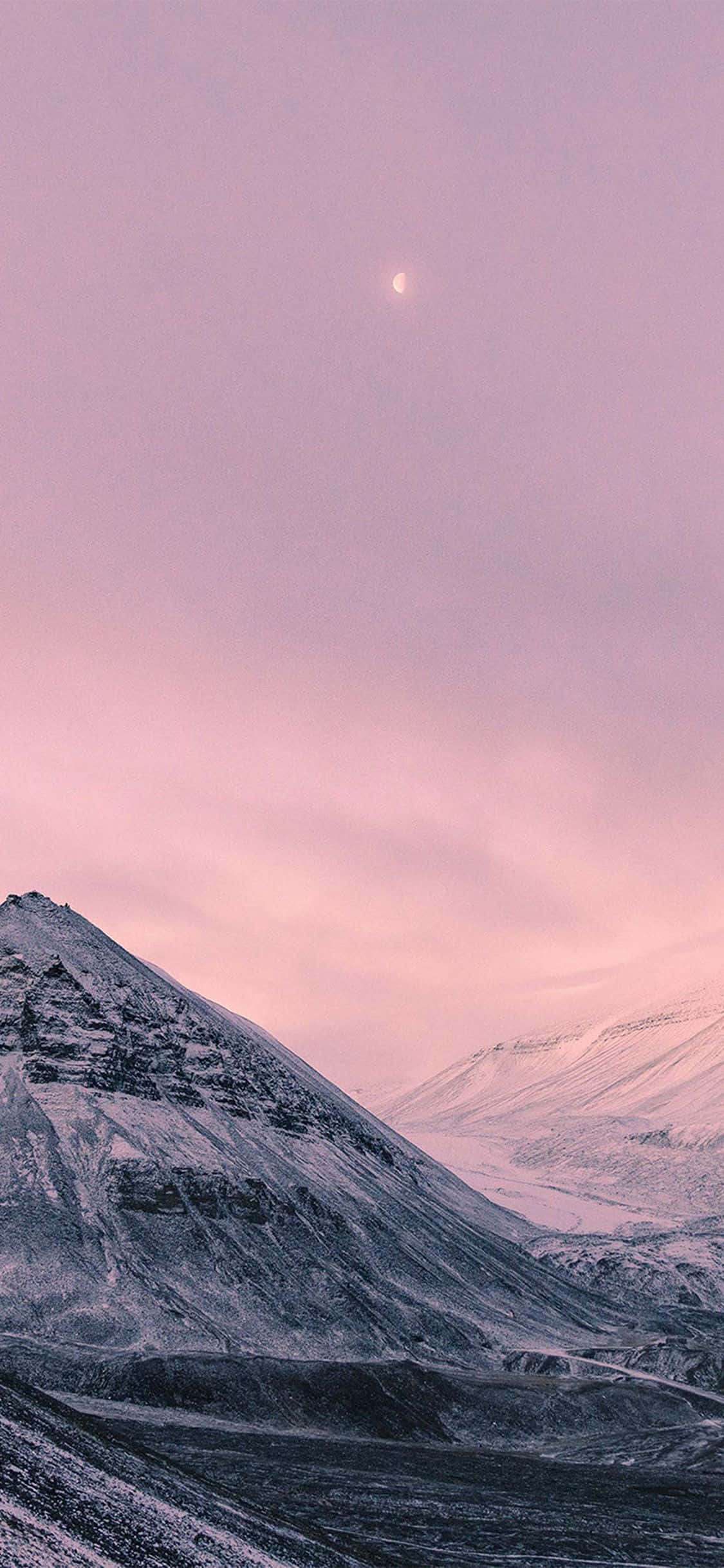 Khung cảnh rừng thanh tao trên iPhone X Hình nền