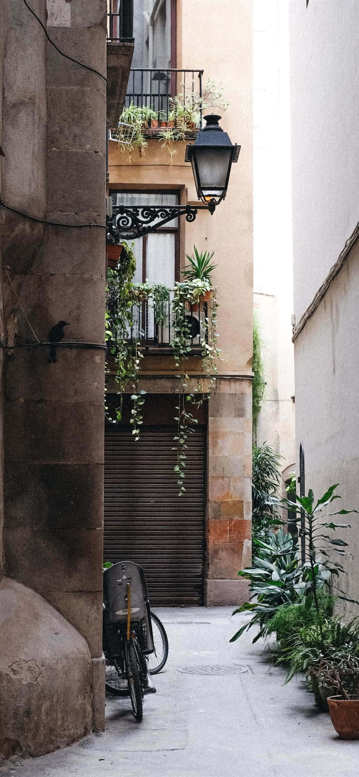 Kiến trúc truyền thống Tây Ban Nha ở Madrid, Tây Ban Nha Hình nền