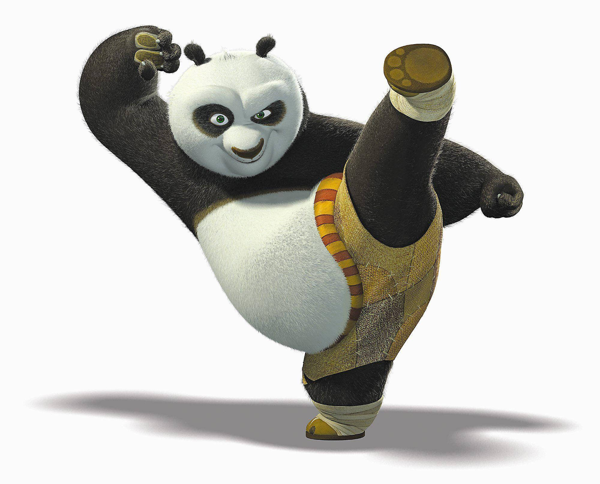 Kung Fu Panda đá với phông nền trắng Hình nền